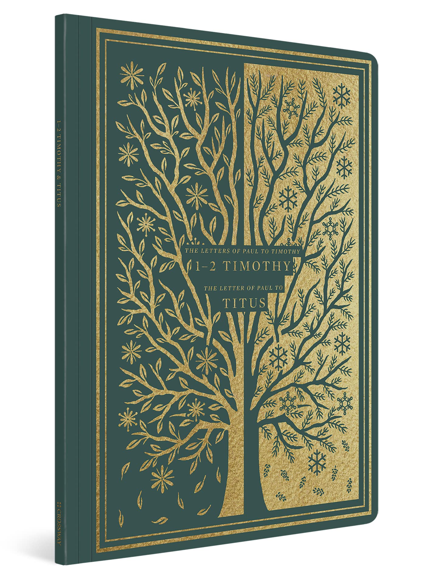 ESV Illuminated Scripture Journal: 1-2 Timothy and Titus: English Standard Version, Illuminated Scripture Journal; 1-2 Timothy and Titus Social Sciences