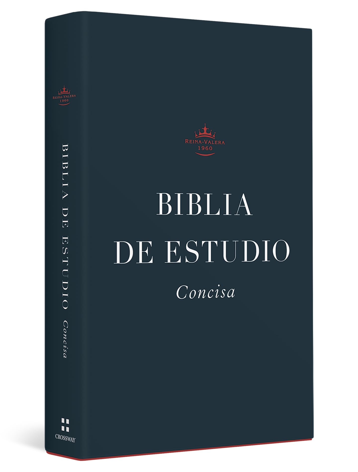 Santa Biblia/ Holy Bible: Biblia de estudio concisa RVR/ ESV Concise Study Bible Religion & Esotericism