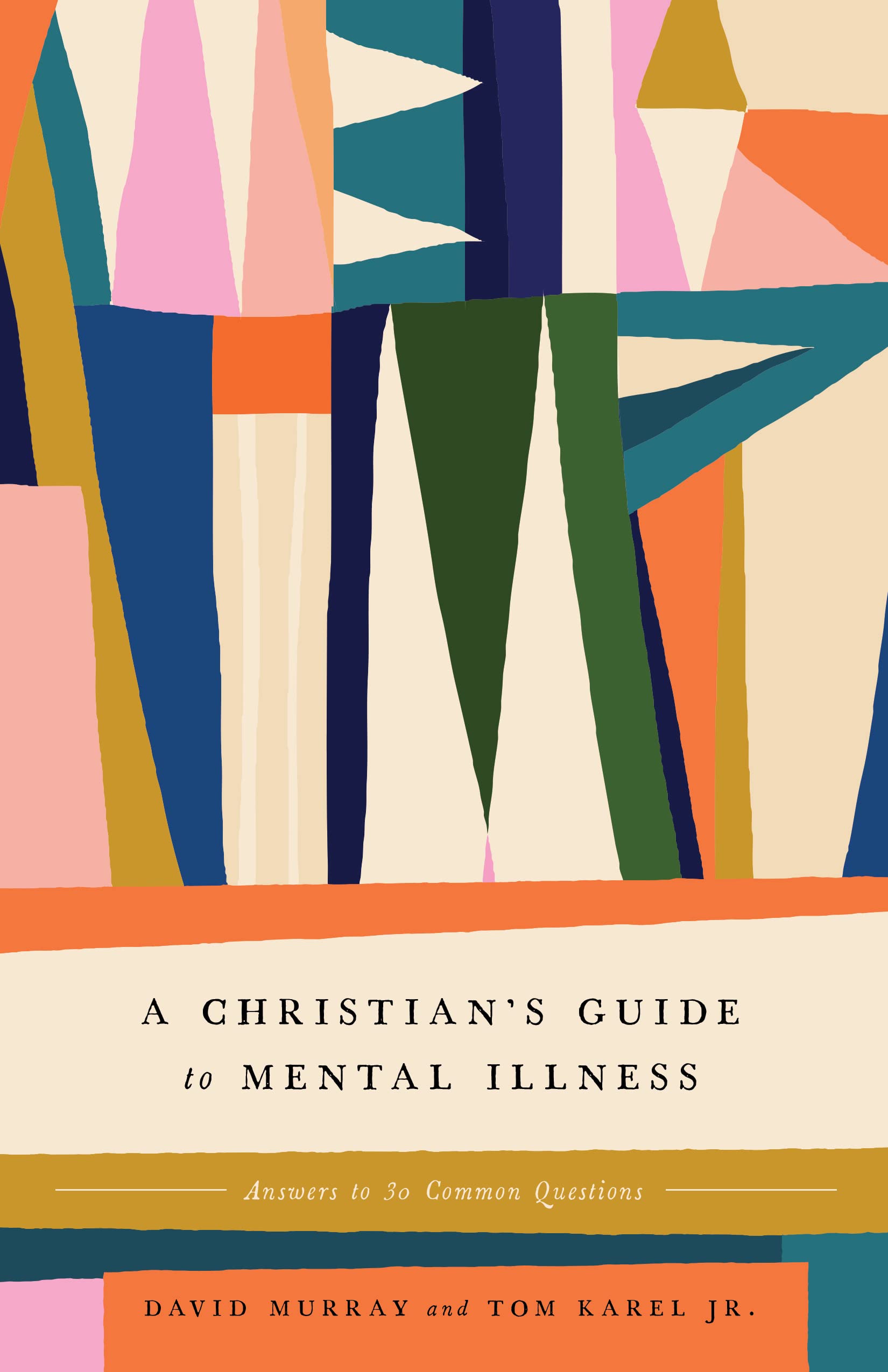 Product Image: A Christian's Guide to Mental Illness