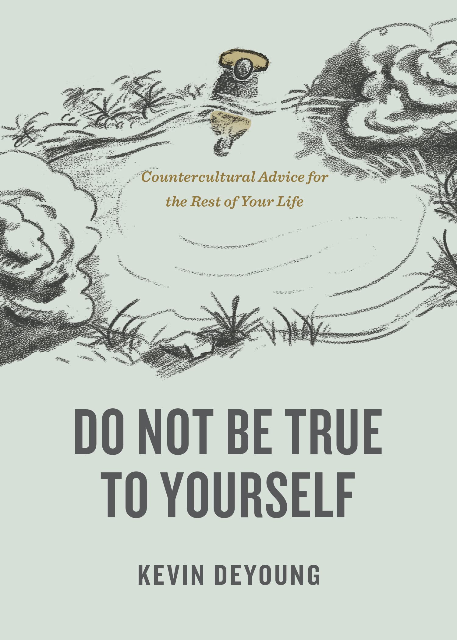 Do Not Be True to Yourself: Countercultural Advice for the Rest of Your Life Religion & Esotericism