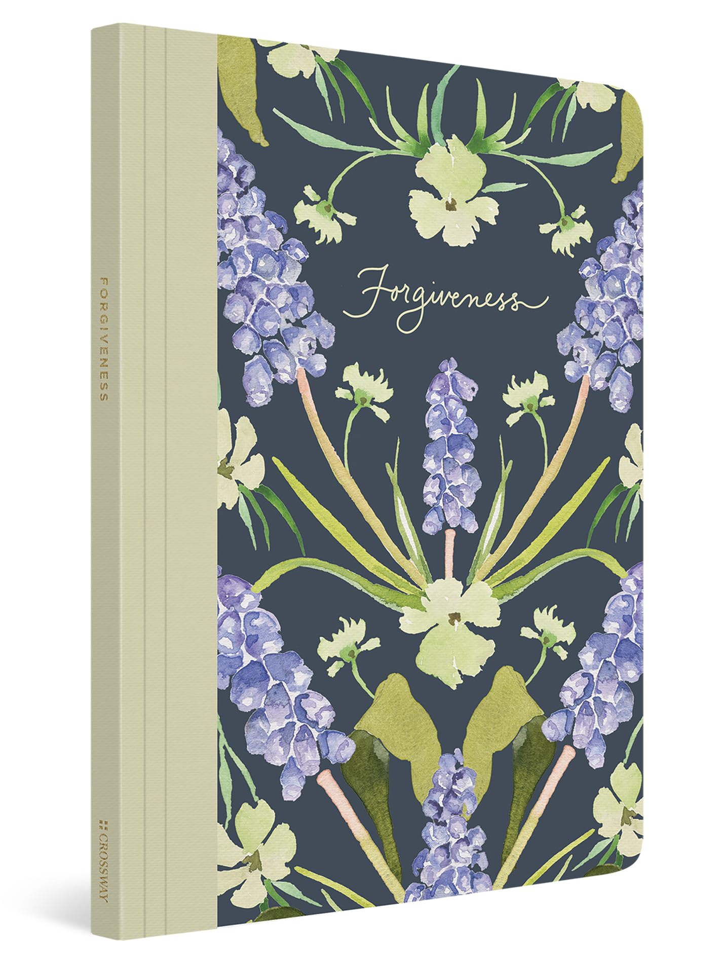 ESV Prayer Journal: 30 Days on Forgiveness (Paperback) Religion & Esotericism