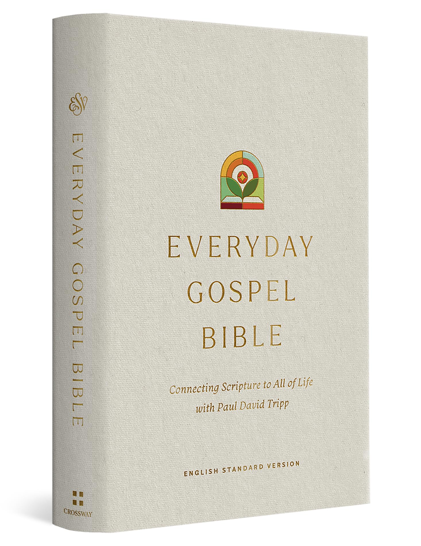 Holy Bible: English Standard Version Everyday Gospel Bible With Ribbon Marker Religion & Esotericism