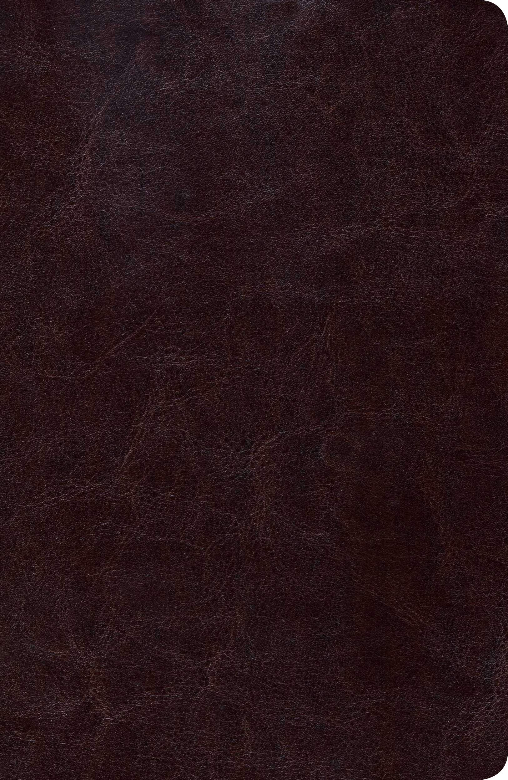 Biblia de Estudio Scofield Tomano Personal-Rvr 1960: Reina-Valera 1960, Chocolate, Simil Piel, Tamano Personal / Reina-Valera 1960, Dark Brown, Imitation Leather, Personal Size Film, Art & Culture