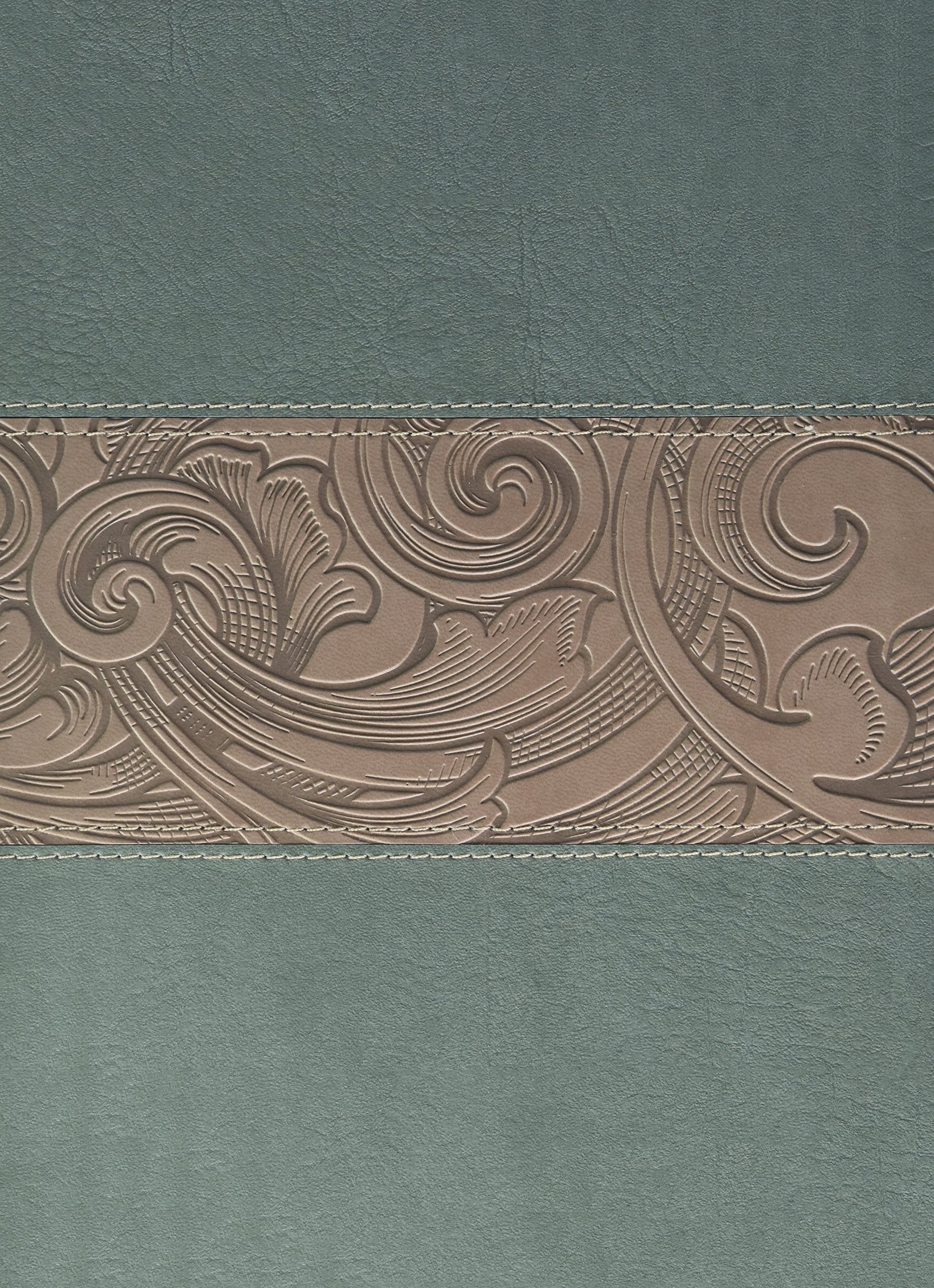 Holy Bible: Holman Christian Standard Study Bible, Teal/Taupe LeatherTouch Religion & Esotericism