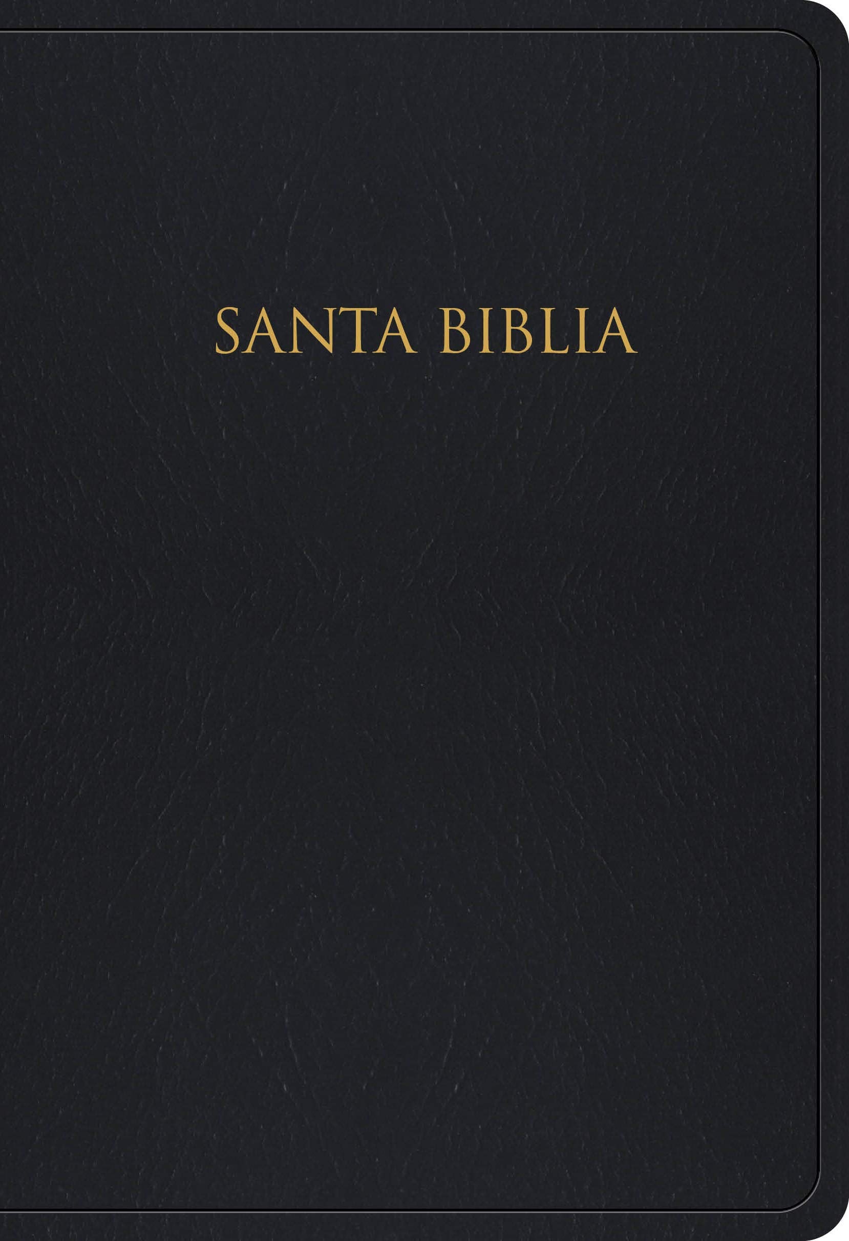 Biblia Para Regalos y Premios-Rvr 1960 Religion & Esotericism