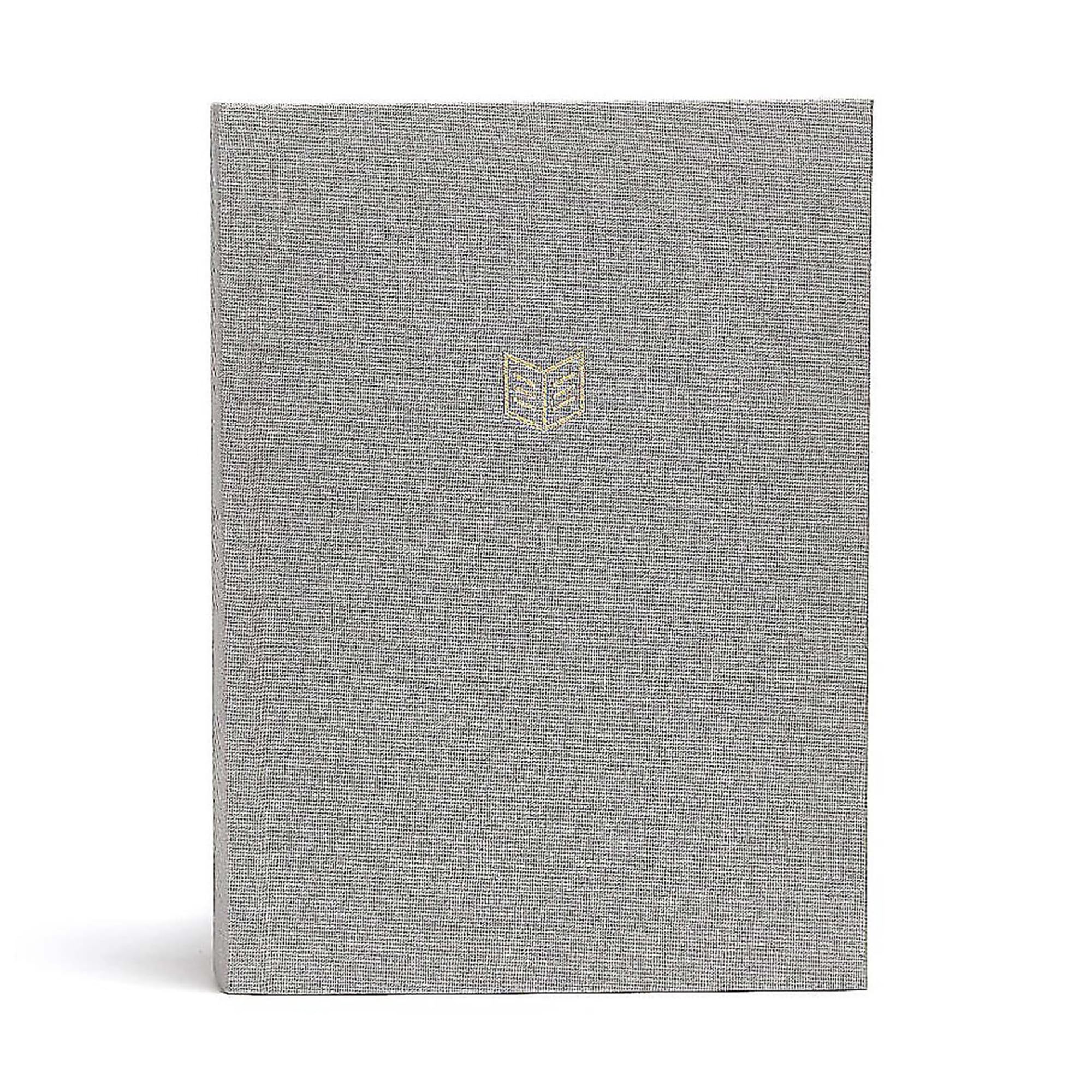 She Reads Truth Bible: Christian Standard, Gray Linen book
