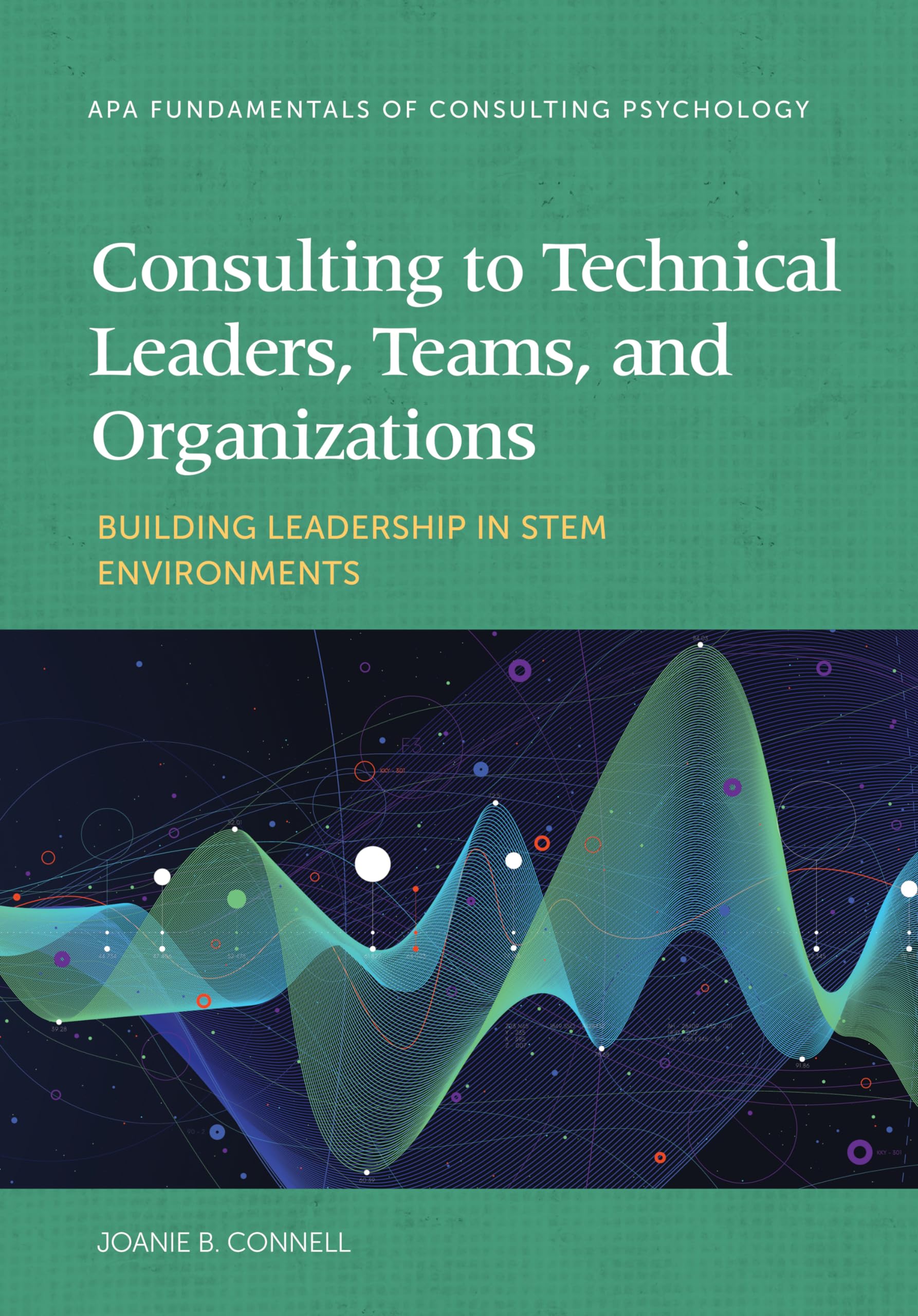 Consulting to Technical Leaders, Teams, and Organizations: Building Leadership in Stem Environments (Fundamentals of Consulting Psychology) Business, Finance & Career