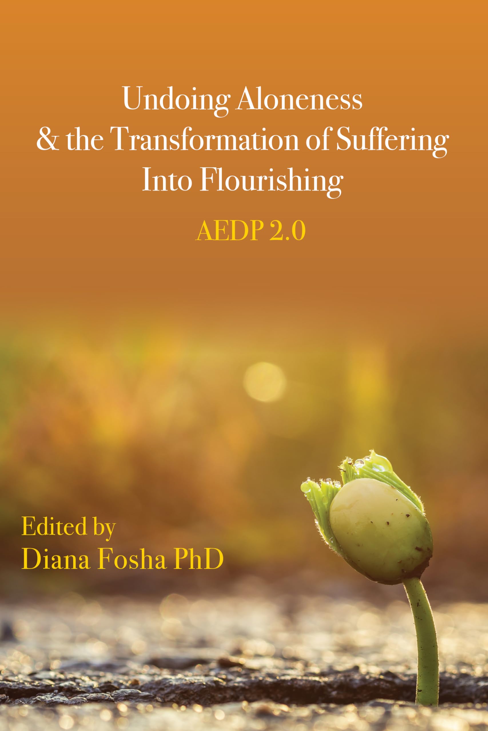 Undoing Aloneness and the Transformation of Suffering Into Flourishing book