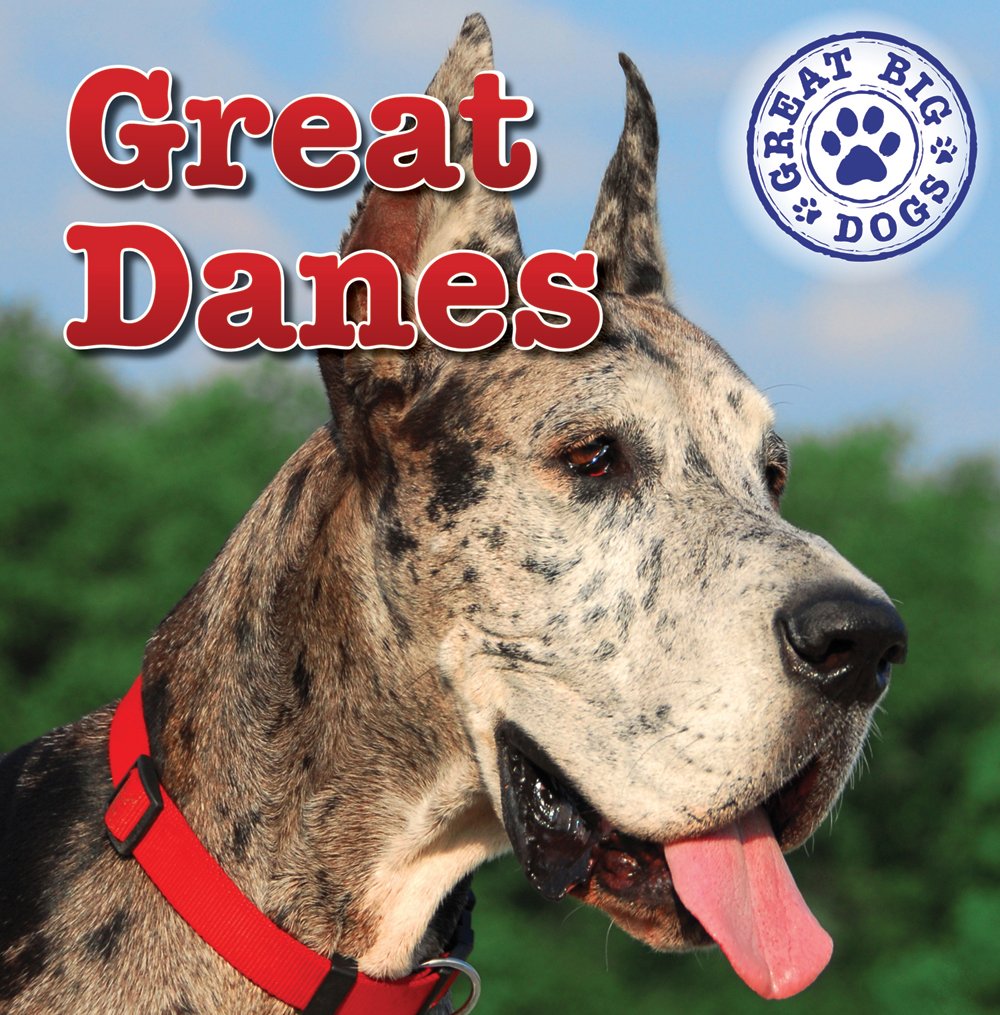 Great Danes (Great Big Dogs) Non-fiction