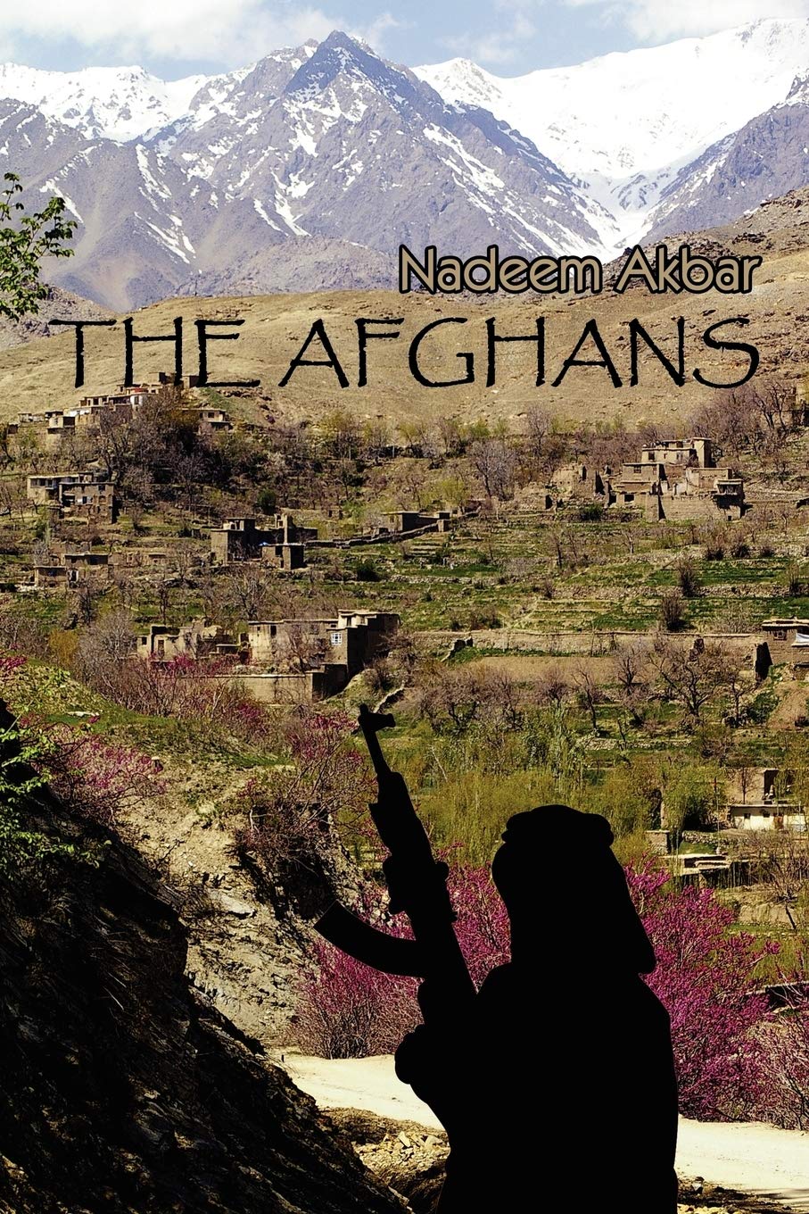 Product Image: The Afghans