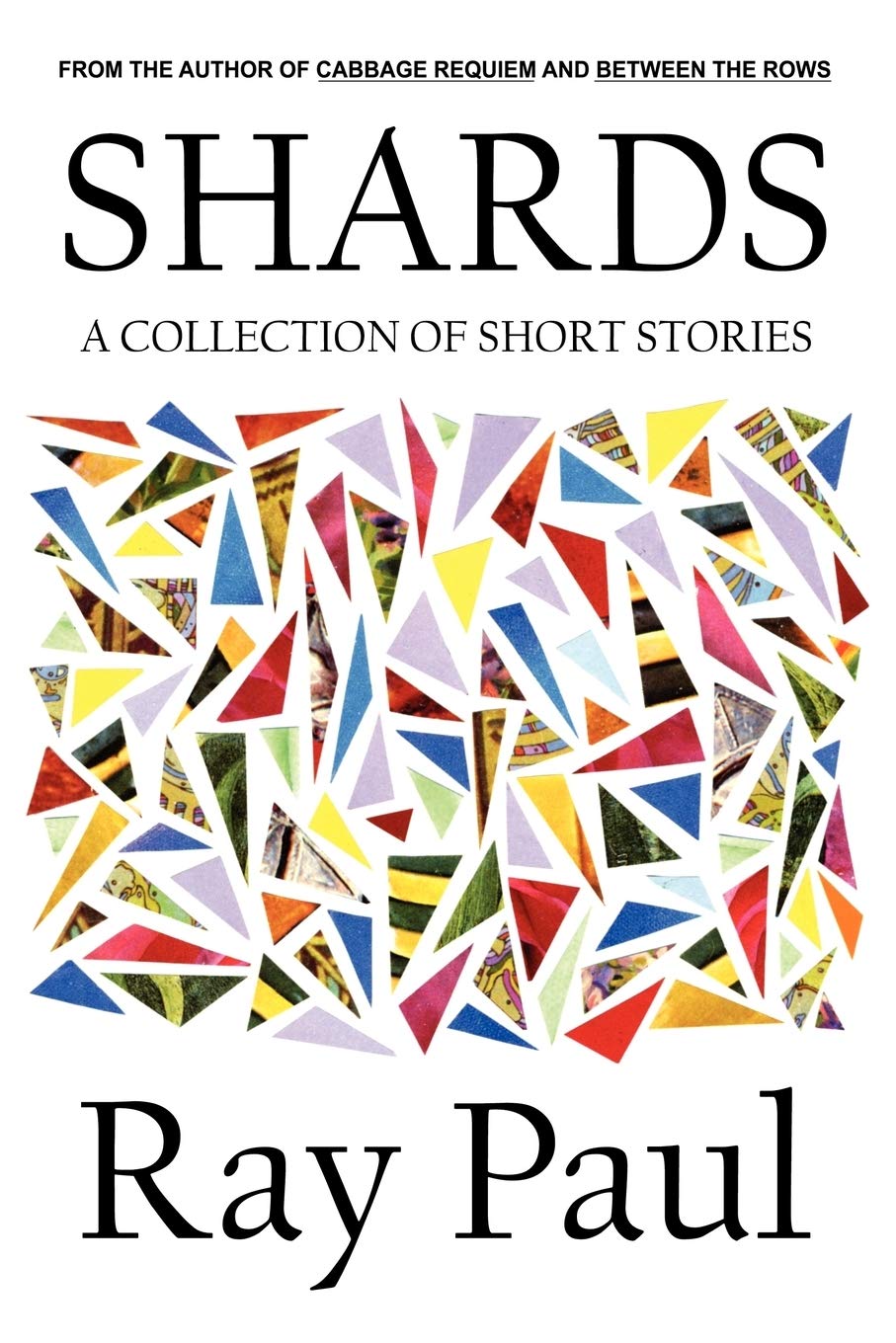 Shards: A Collection of Short Stories Contemporary literature