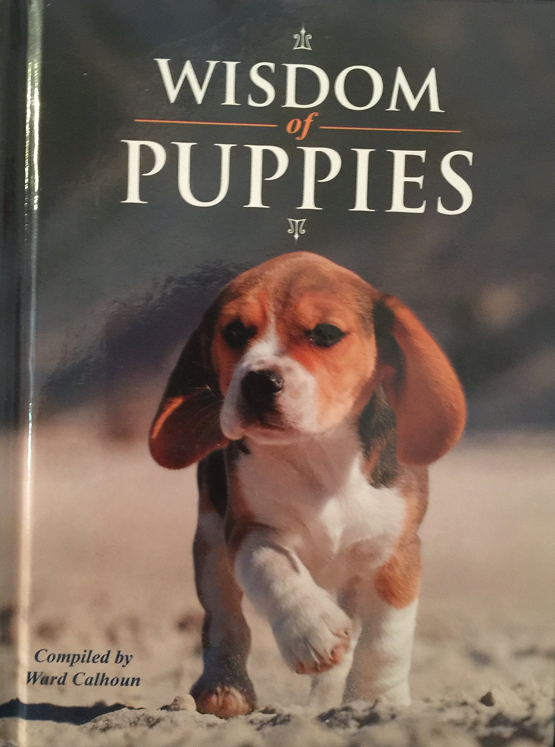 wisdom-of-puppies book