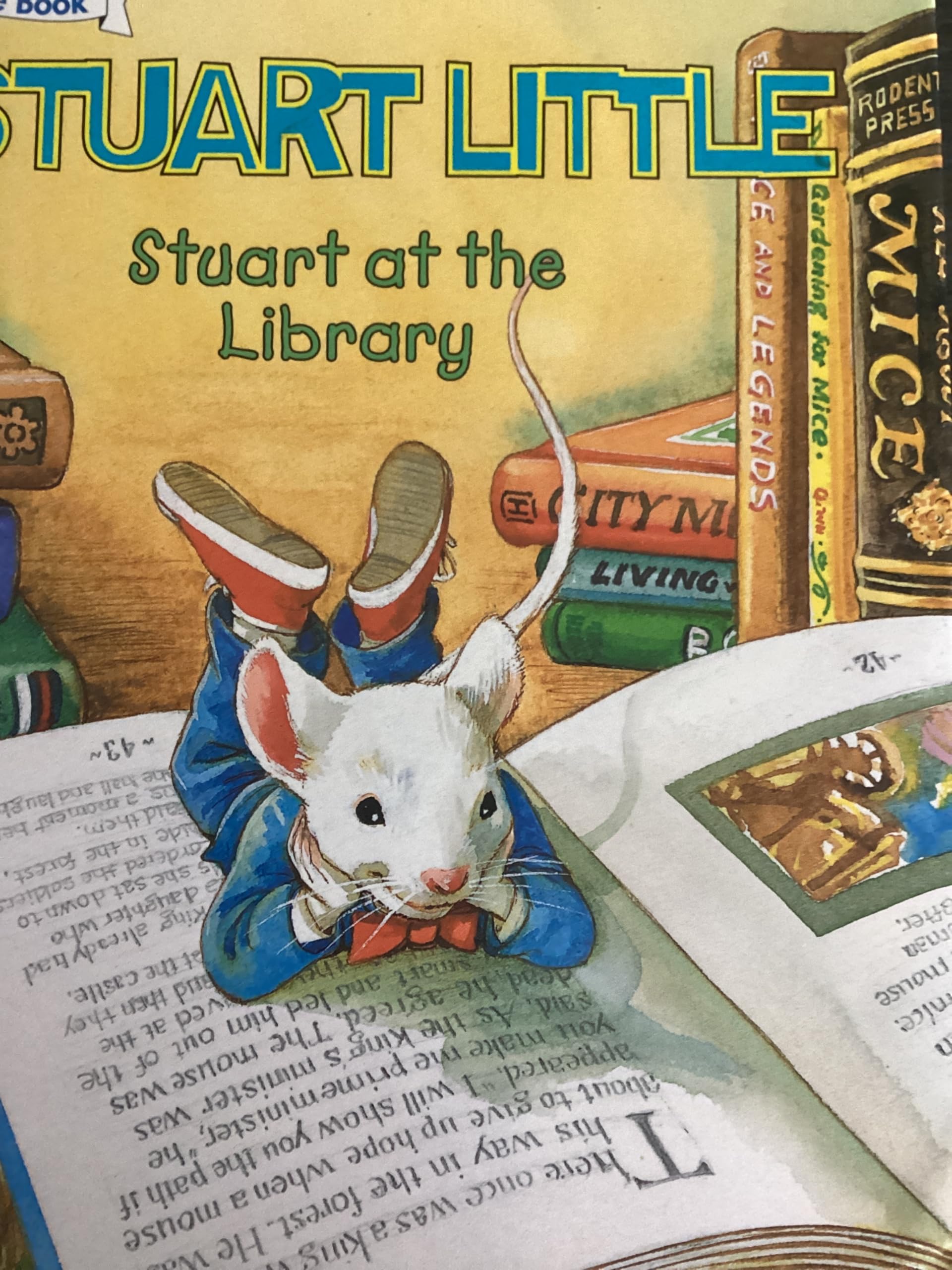 Stuart At the Library (Stuart Little) by Hill, Susan Books