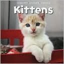 Snapshot Picture Library: Kittens Board Book book