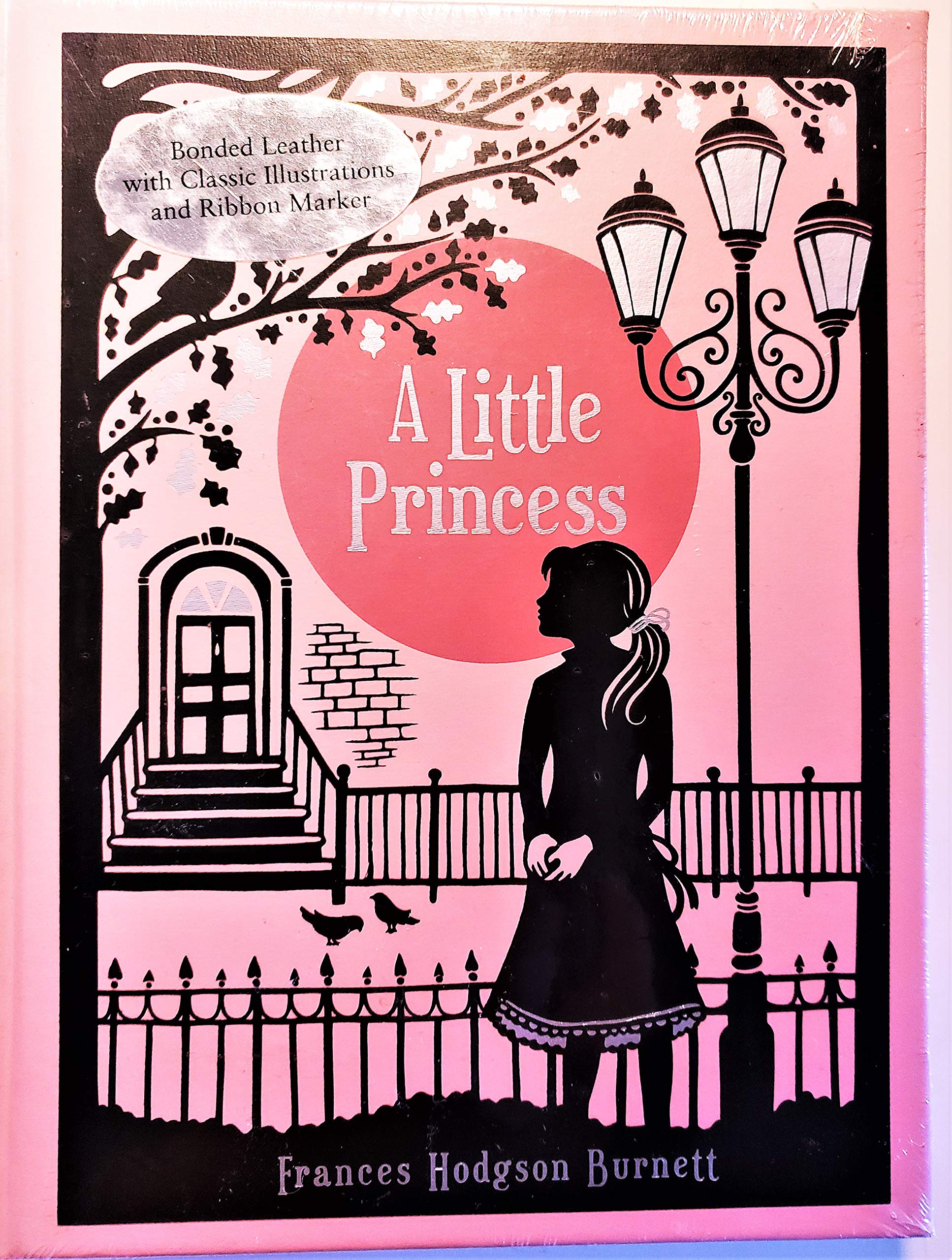 A Little Princess (Leatherbound Classics) Books