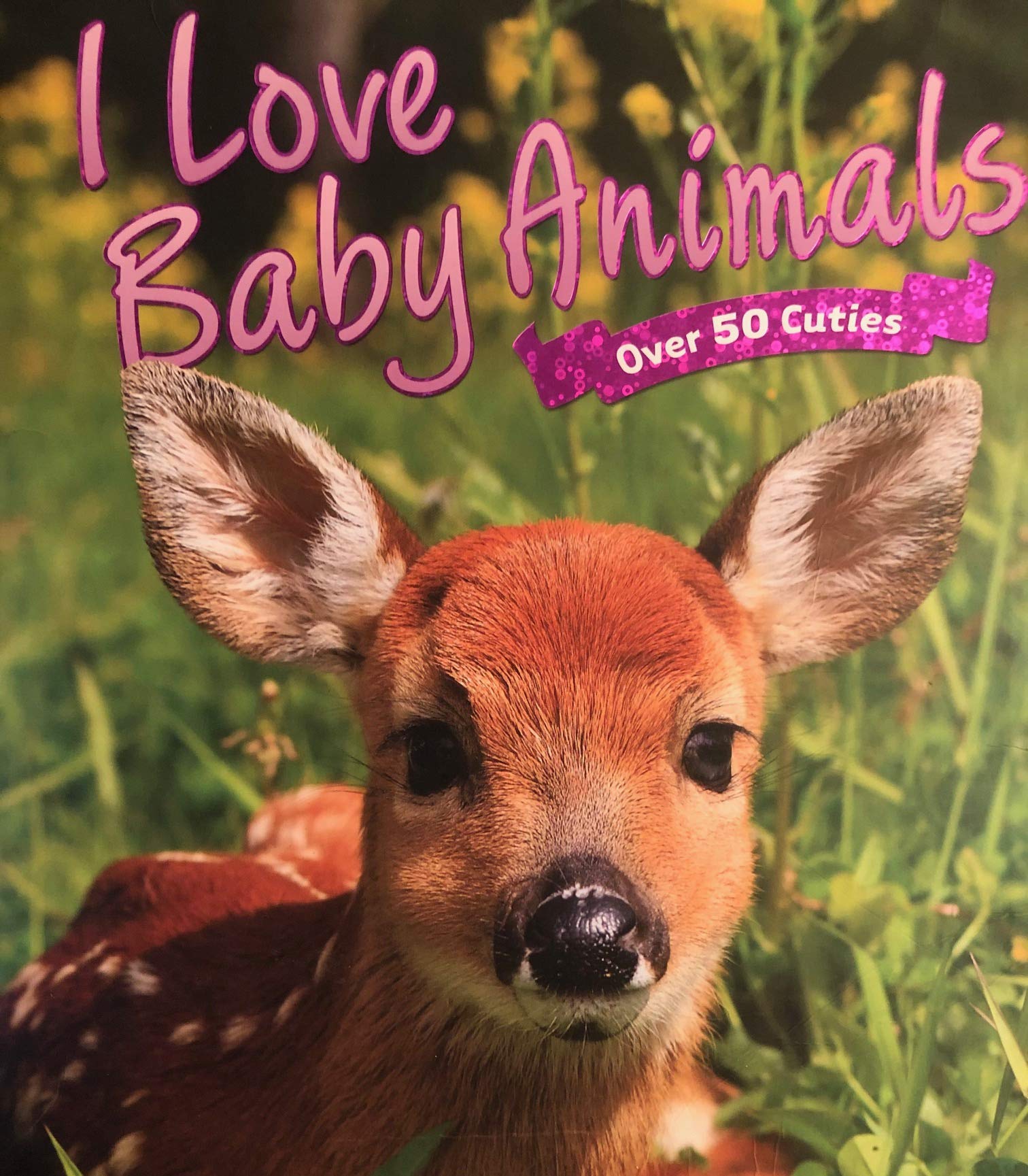 I Love Baby Animals (Over 50 Cuties) book