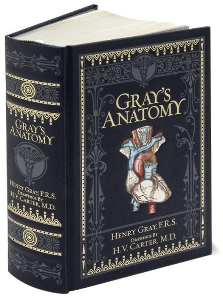 Gray's Anatomy (Barnes & Noble Collectible Classics: Omnibus Edition) Medicine