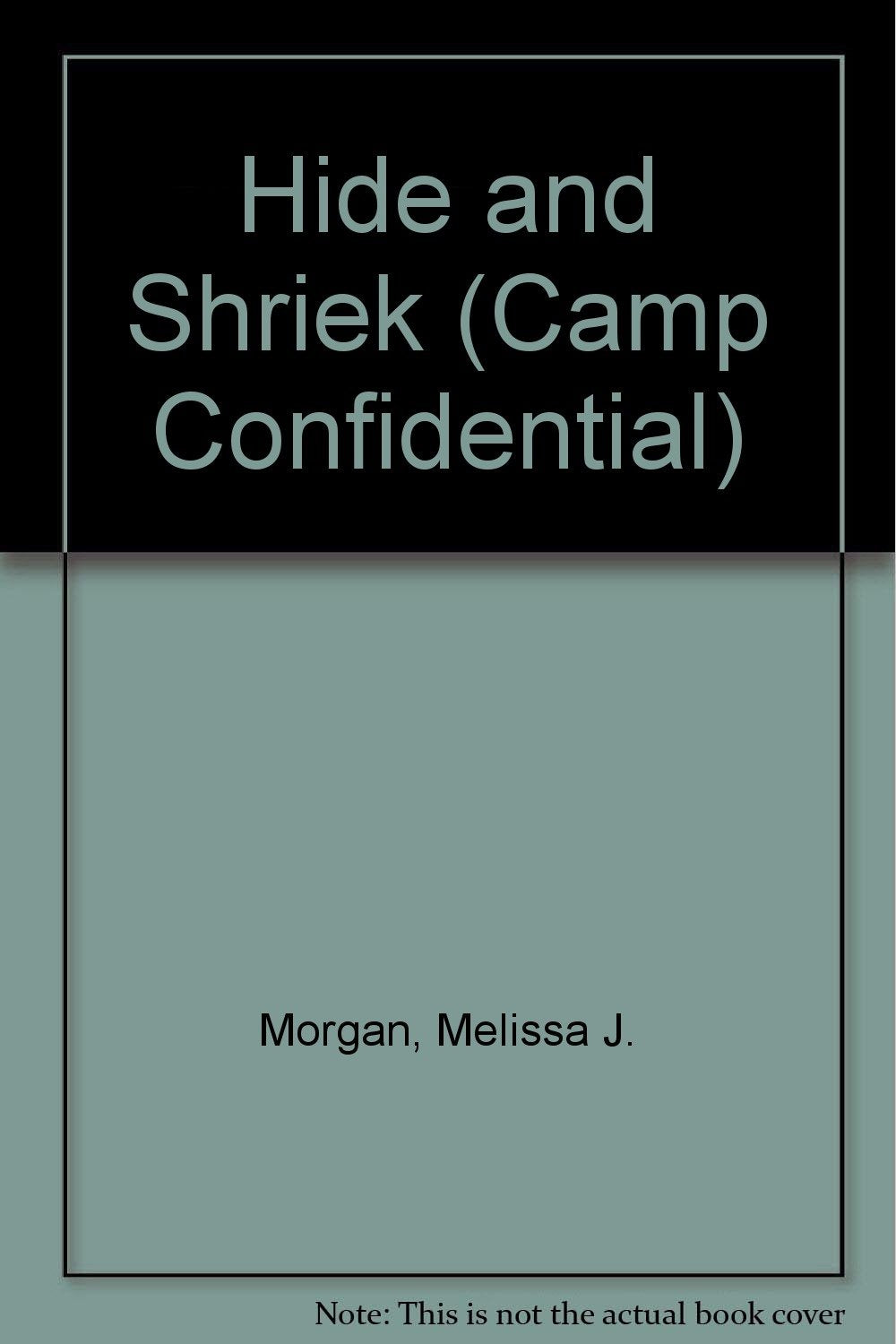 Hide and Shriek (Camp Confidential) Leisure & Fun