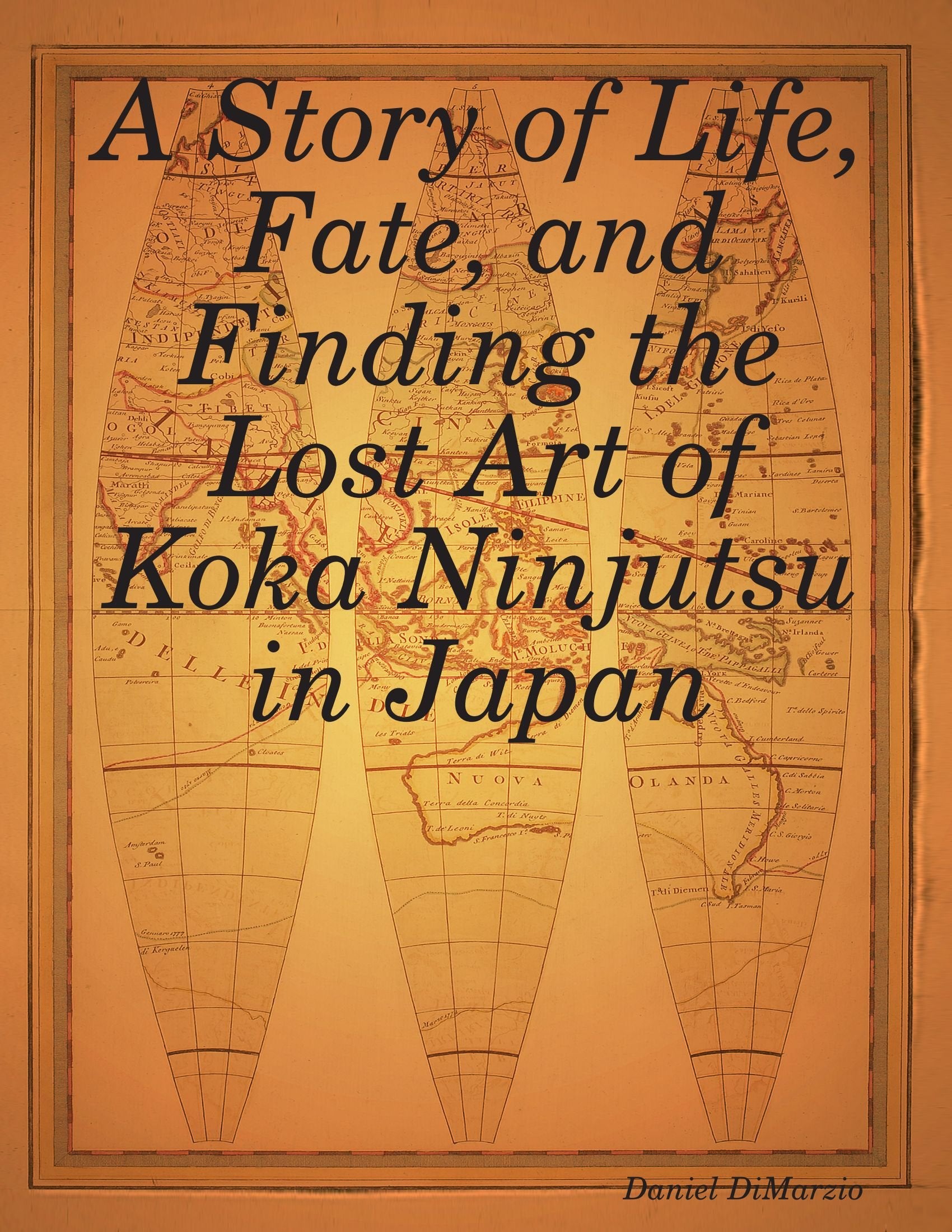 A Story of Life, Fate, and Finding the Lost Art of Koka Ninjutsu in Japan Travel Books