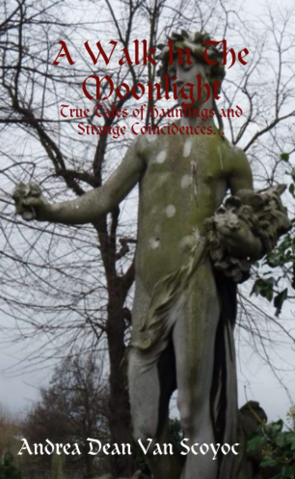 A Walk In The Moonlight - True Tales of Hauntings and Strange Coincidences... Horror & Mystery
