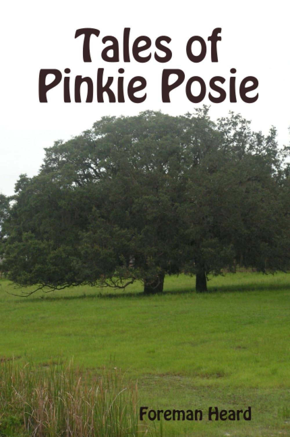Tales of Pinkie Posie Novels & Short Stories