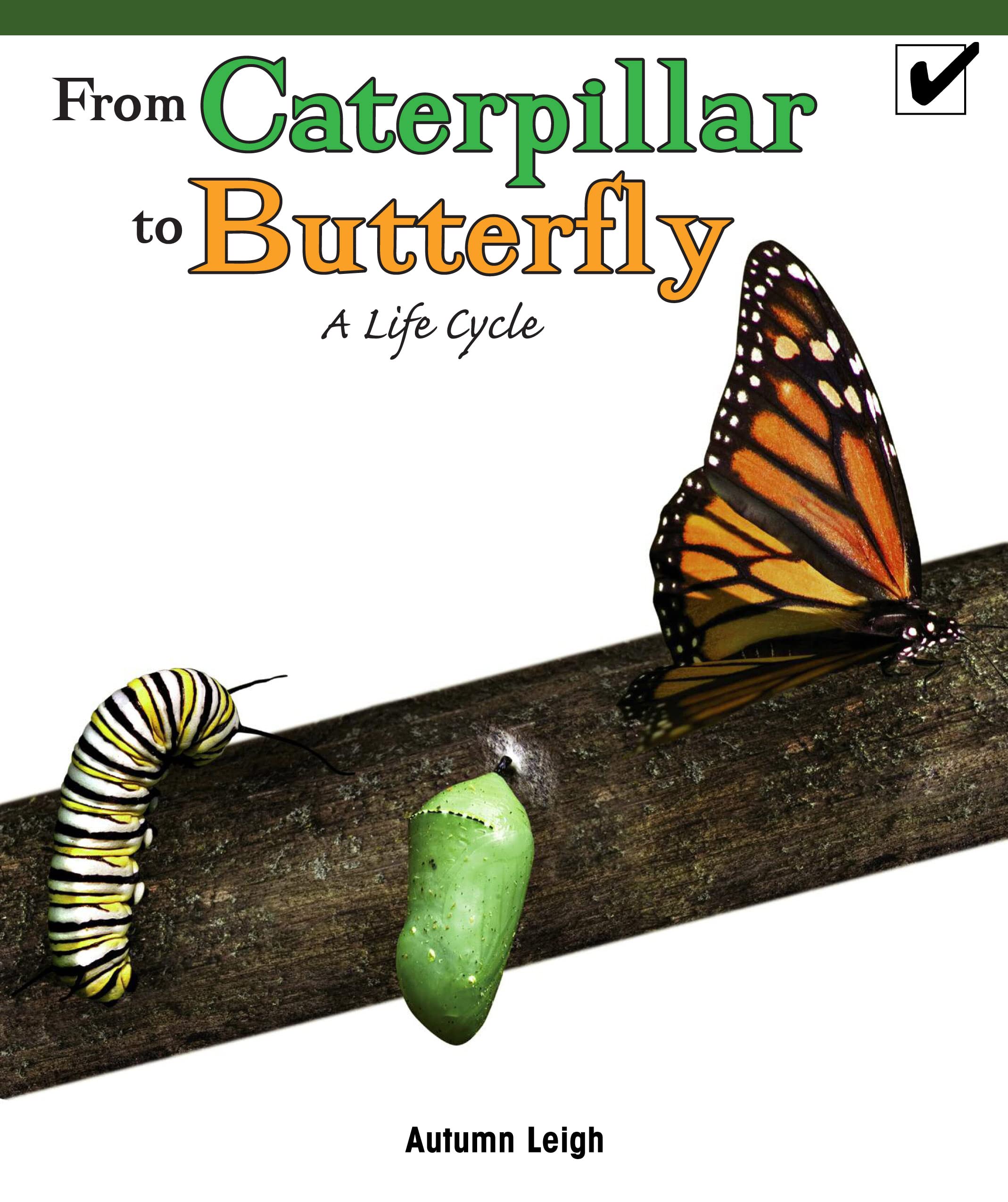 From Caterpillar to Butterfly: A Life Cycle (Real Life Readers) Tiptoi & Games