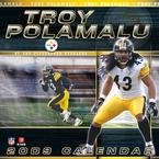 NFL Player Troy Polamalu 2009 Calendar Books