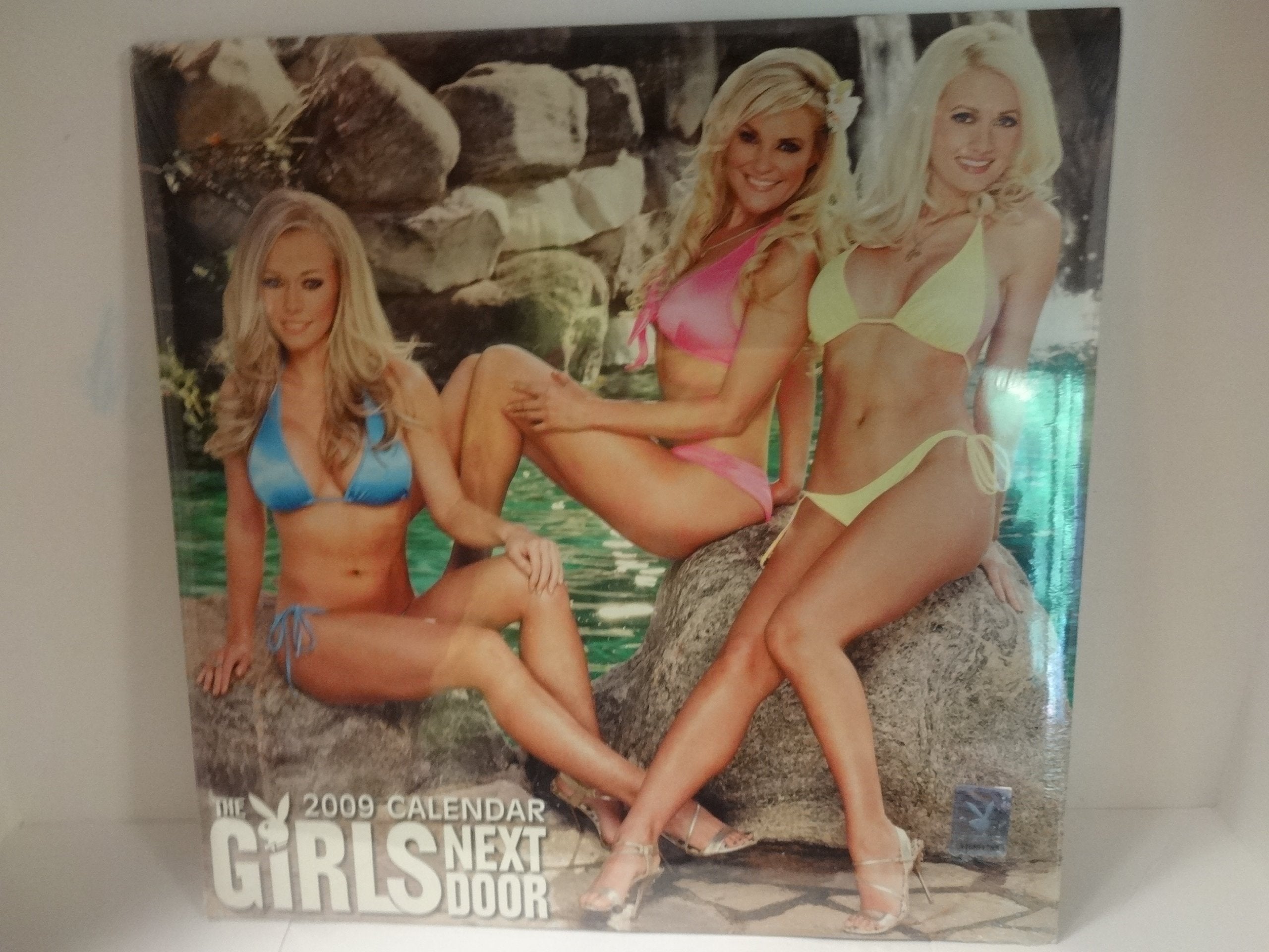 Playboy The Girls Next Door 2009 Calendar Books