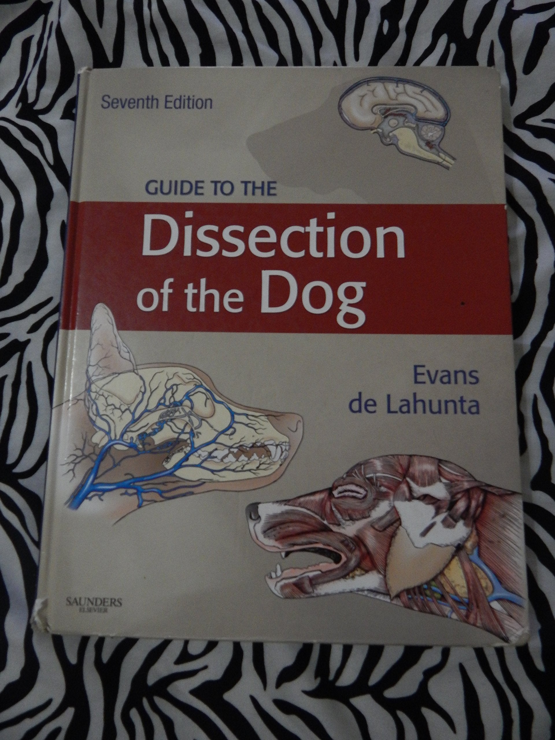 Guide to the Dissection of the Dog book