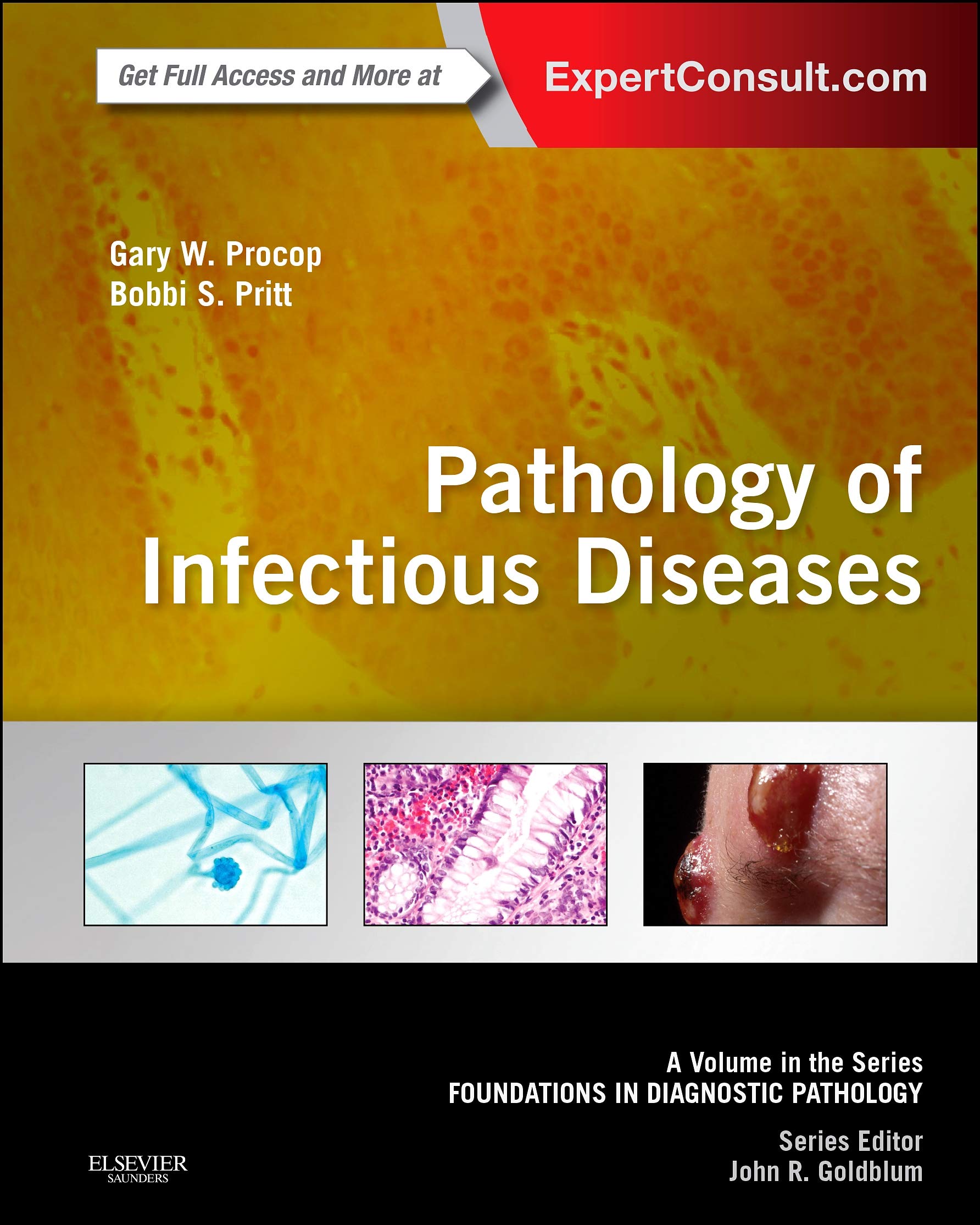 Pathology of Infectious Diseases: A Volume in the Series: Foundations in Diagnostic Pathology Medicine