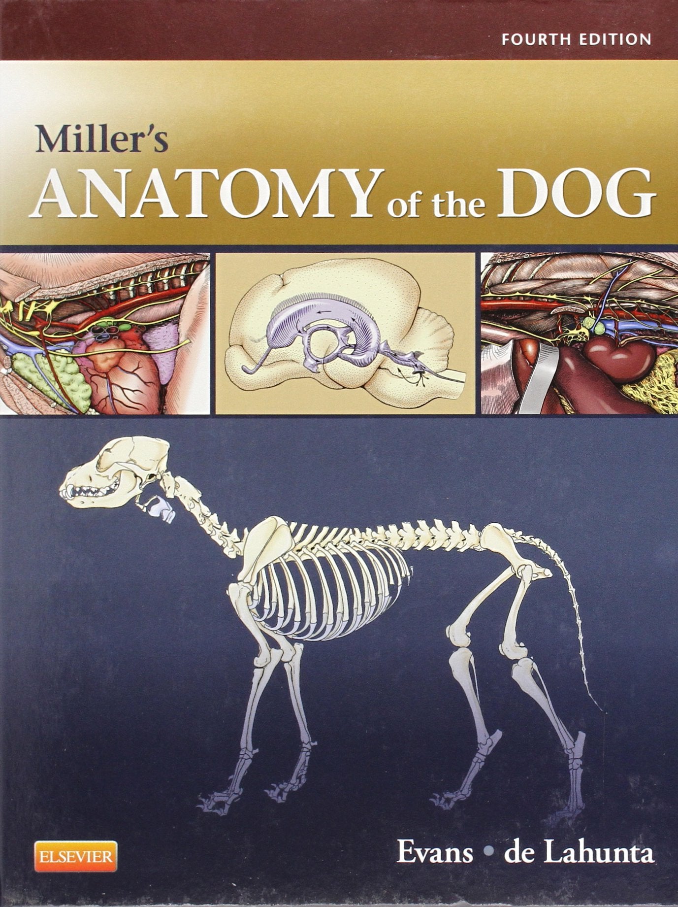 Miller's Anatomy of the Dog book