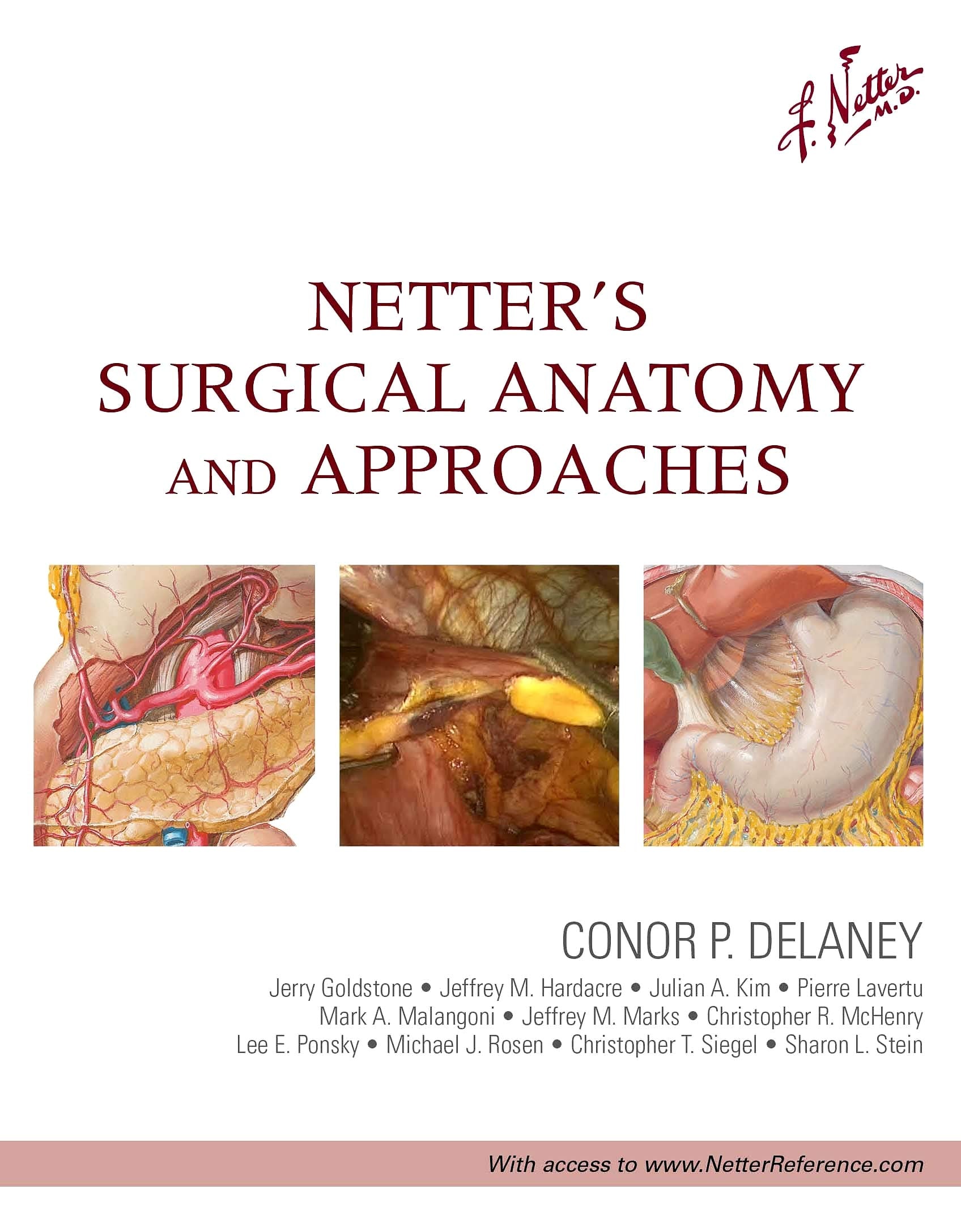 Netter's Surgical Anatomy and Approaches (Netter Clinical Science) Medicine