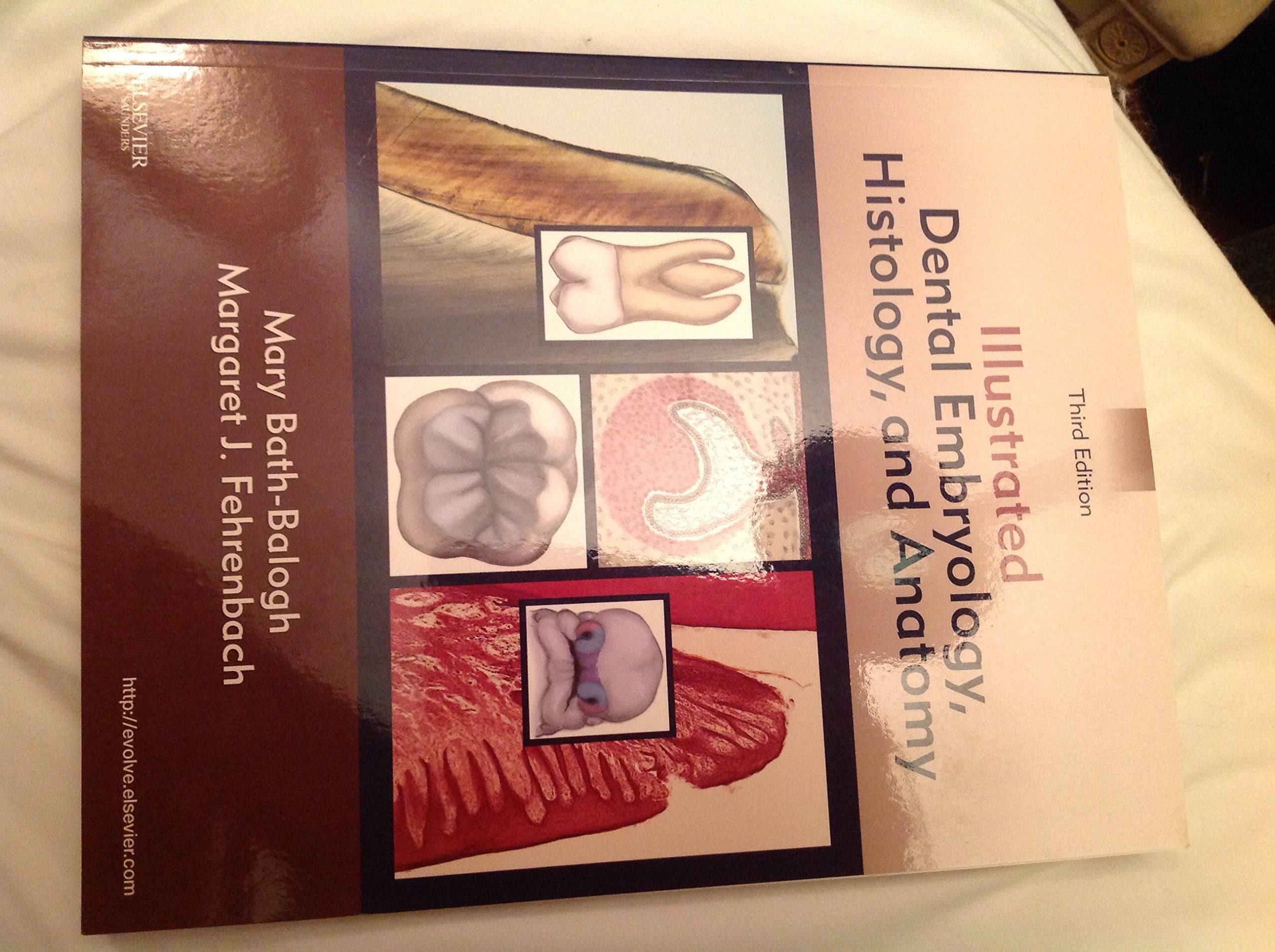 Illustrated Dental Embryology, Histology, and Anatomy Medicine