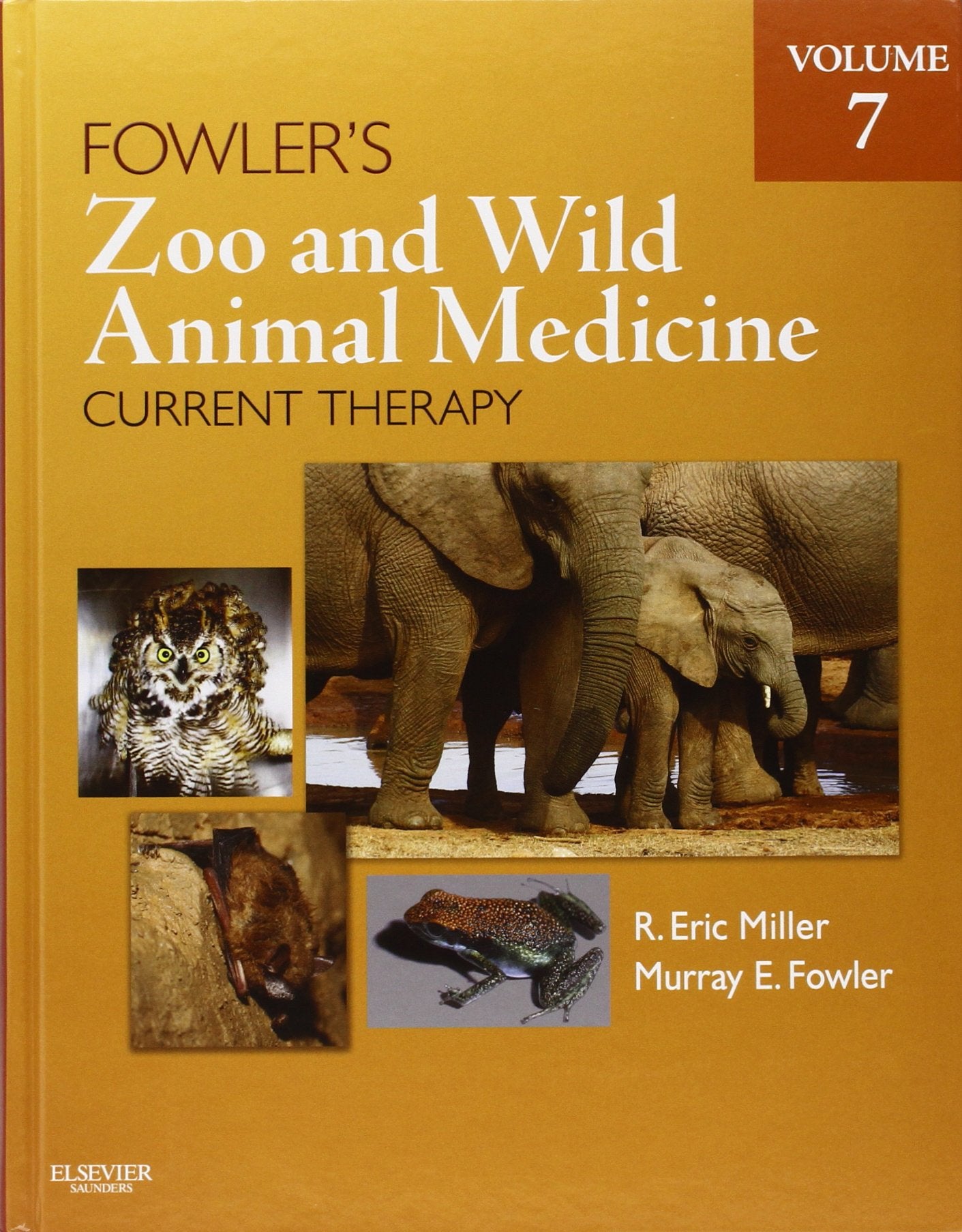 Fowler's Zoo and Wild Animal Medicine: Current Therapy (7) book