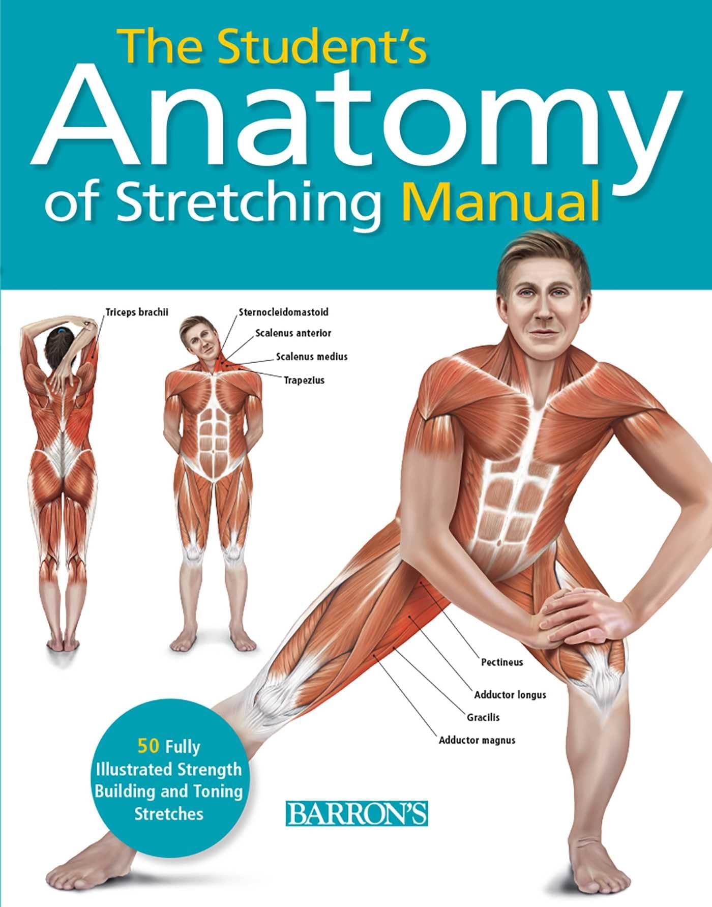 The Student's Anatomy of Stretching Manual: 50 Fully-illustrated Strength Building and Toning Stretches Natural Sciences