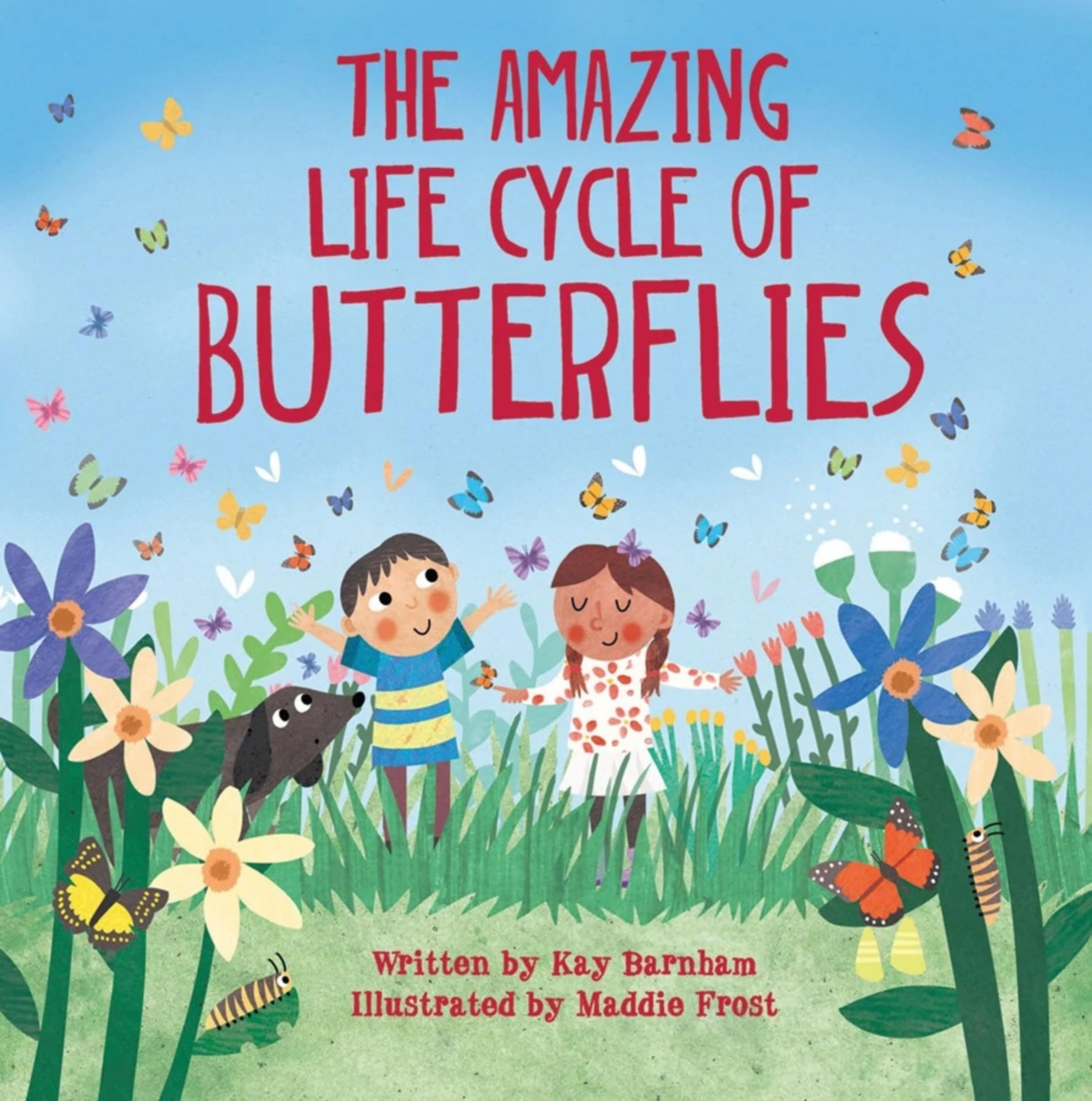 The Amazing Life Cycle of Butterflies (Look and Wonder) Non-fiction