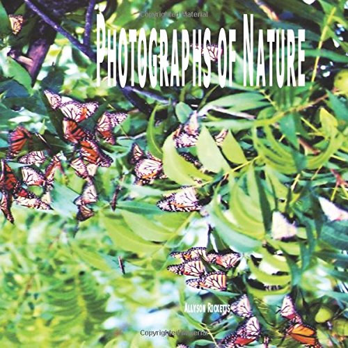 Photographs Of Nature: Beautiful Nature Photography. Film, Art & Culture