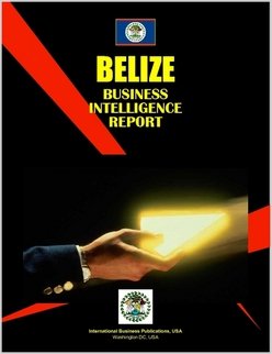 Belize Business Intelligence Report Law
