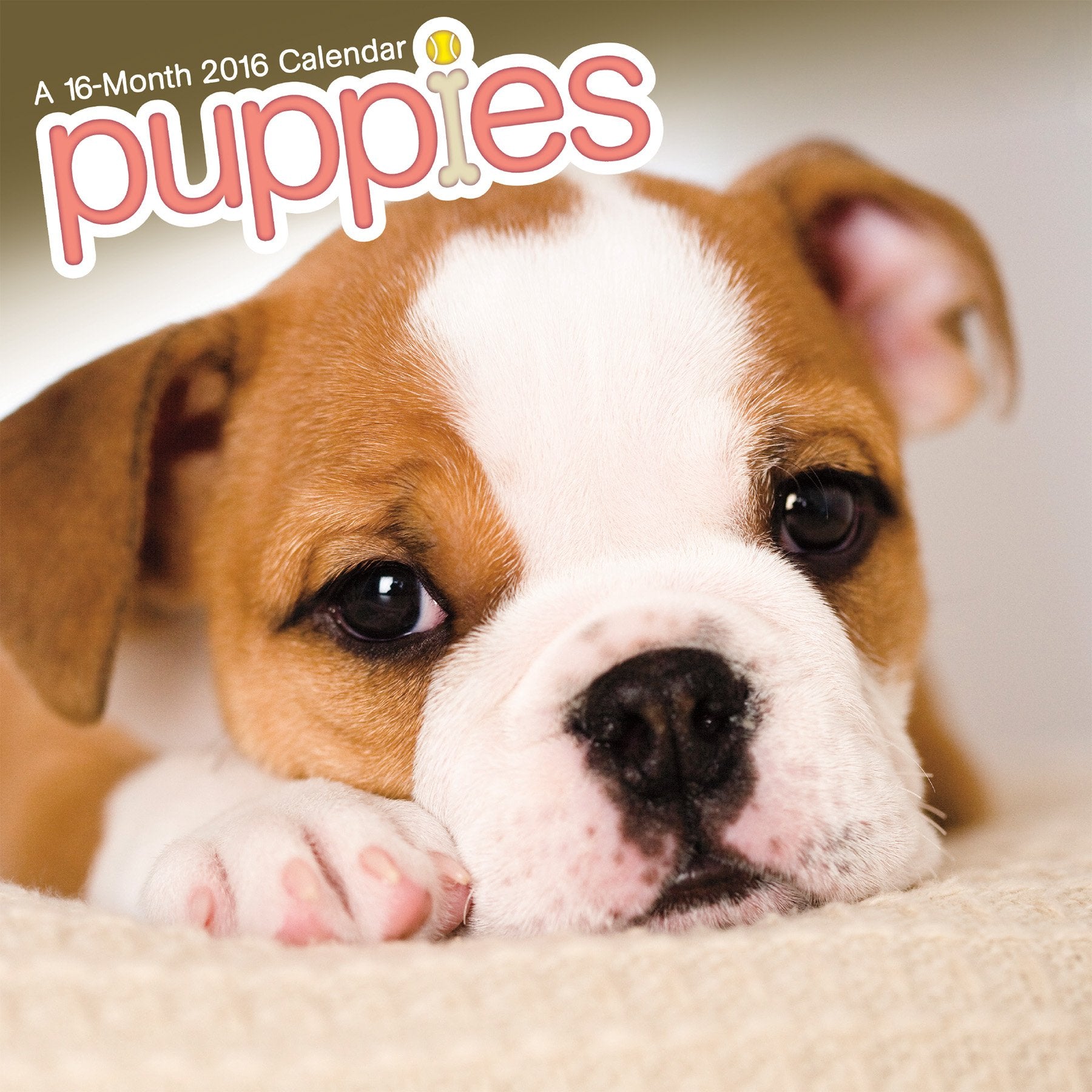 Puppies 2016 Calendar book