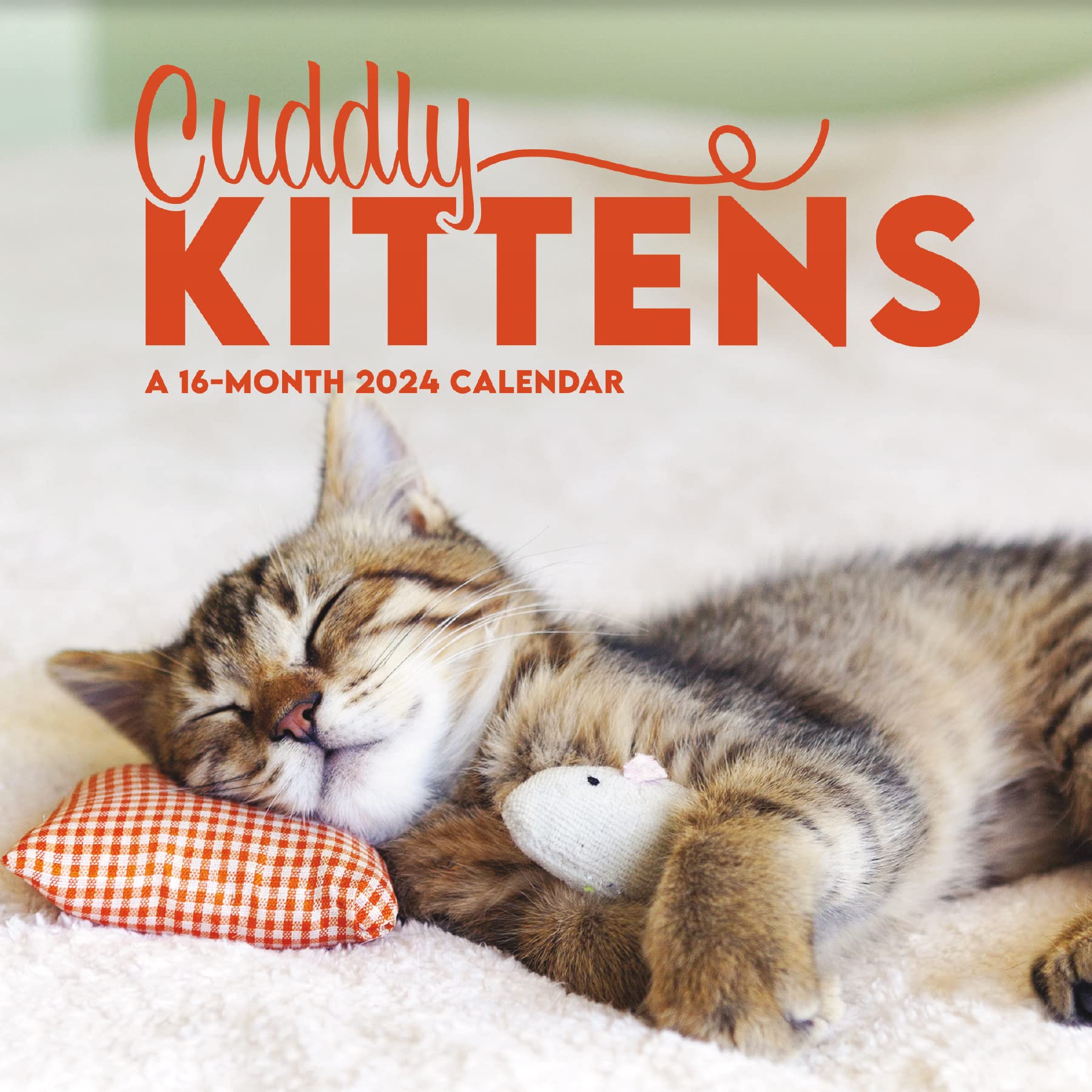 2024 Cuddly Kittens Mini Wall Calendar Calendars