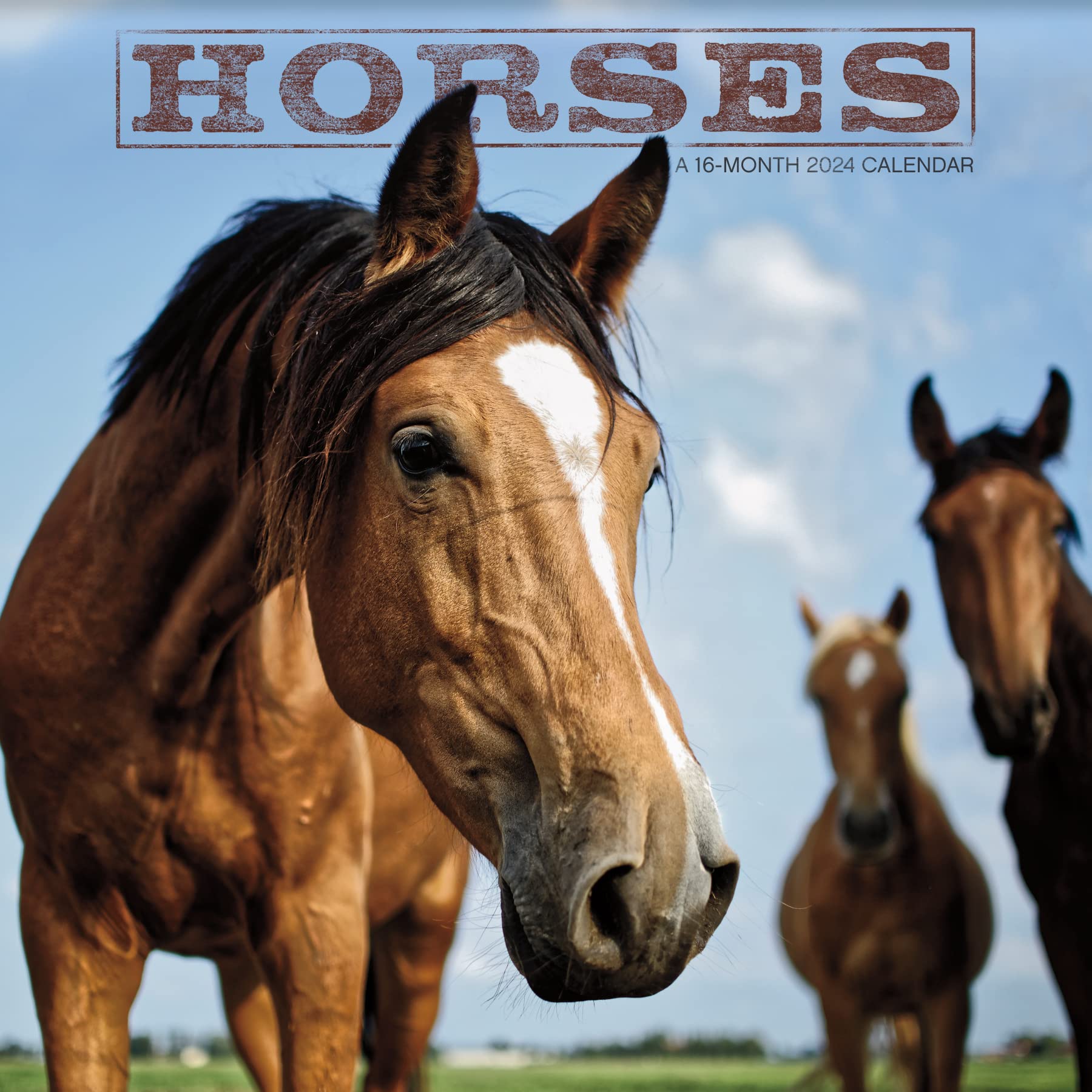 2024 Horses Mini Wall Calendar Calendars