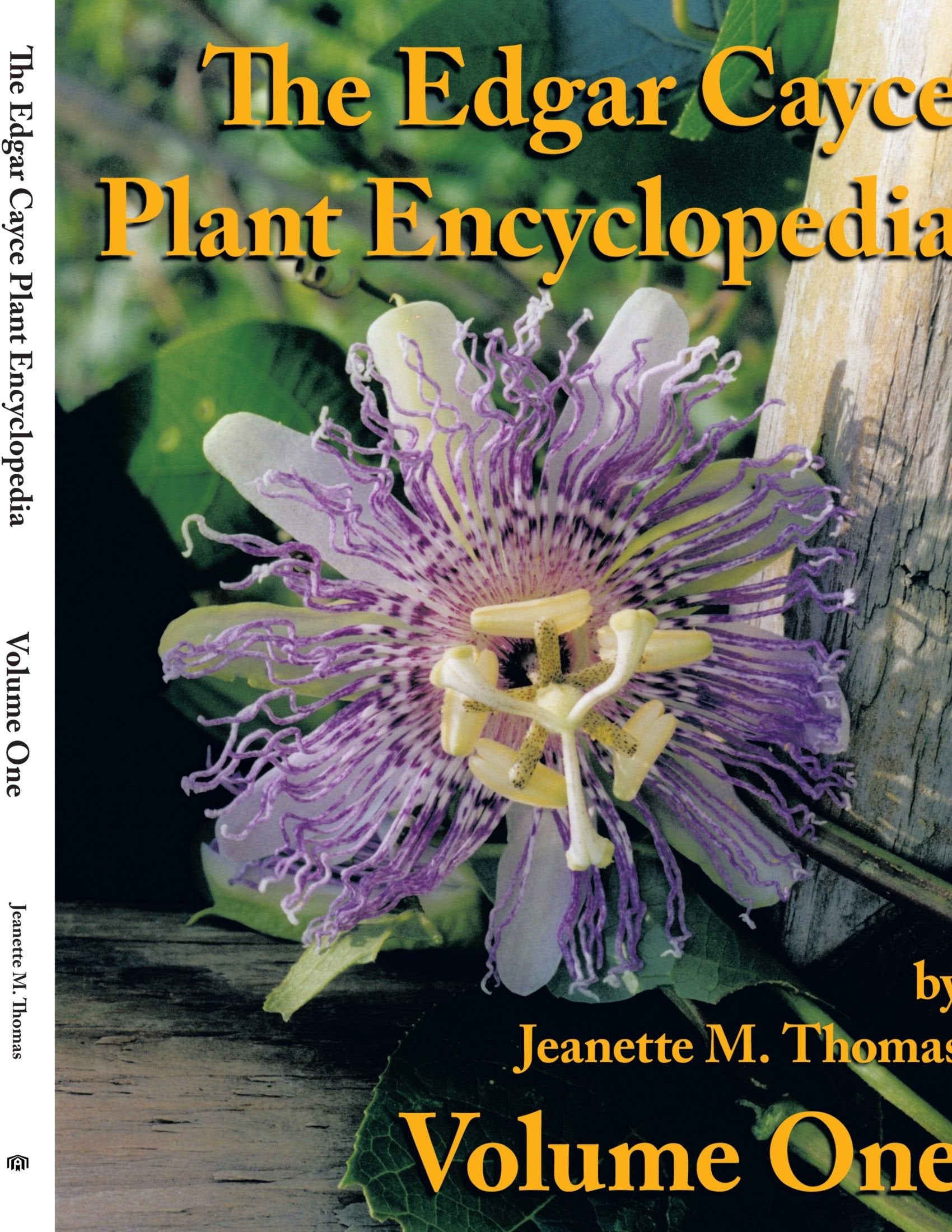The Edgar Cayce Plant Encyclopedia (The Edgar Cayce Plant Encyclopedia: Volume One) Mathematics