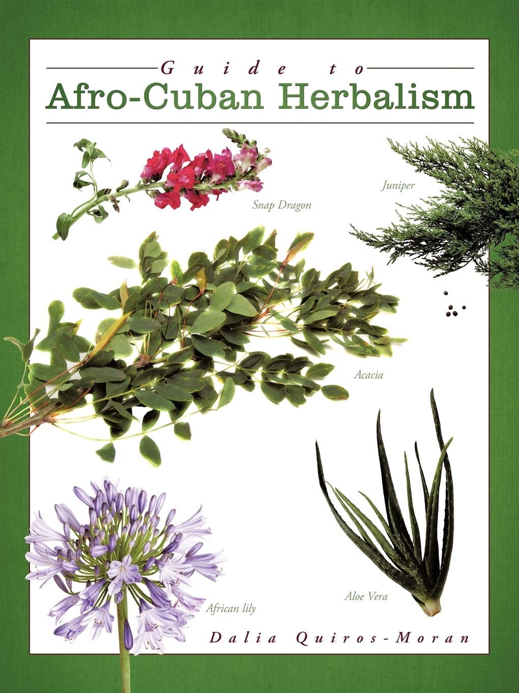 Guide to Afro-Cuban Herbalism Reference Books