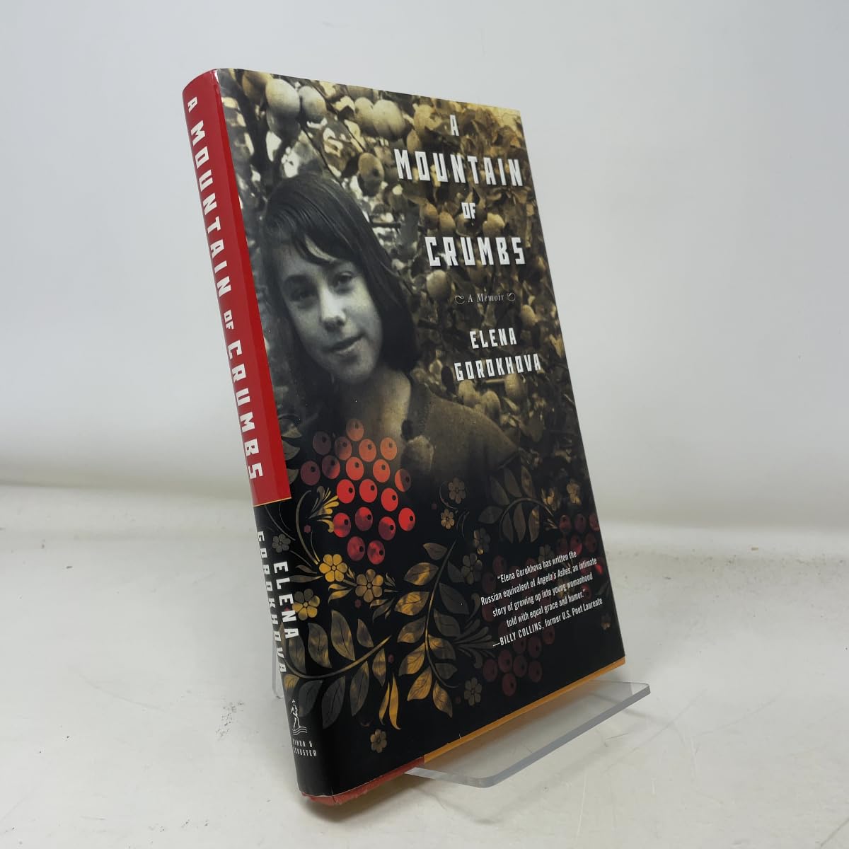A Mountain of Crumbs: A Memoir Politics & Society