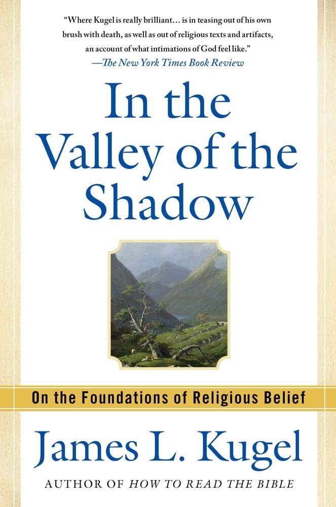 In the Valley of the Shadow: On the Foundations of Religious Belief book