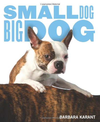 Product Image: Small Dog, Big Dog