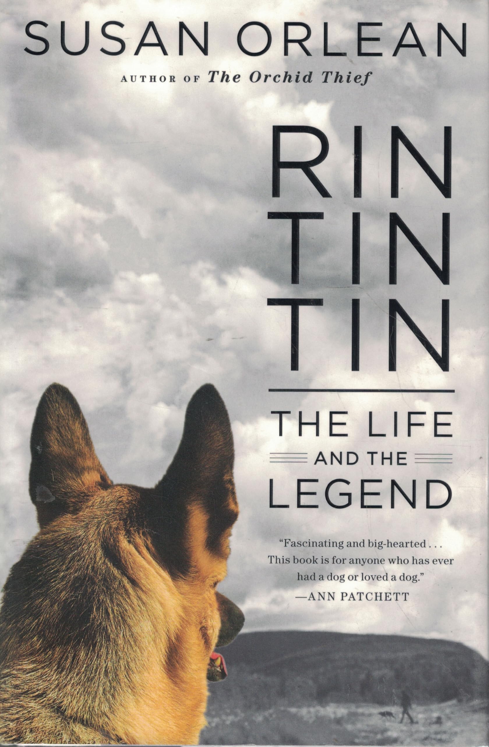 Rin Tin Tin: The Life and the Legend Art & Literature