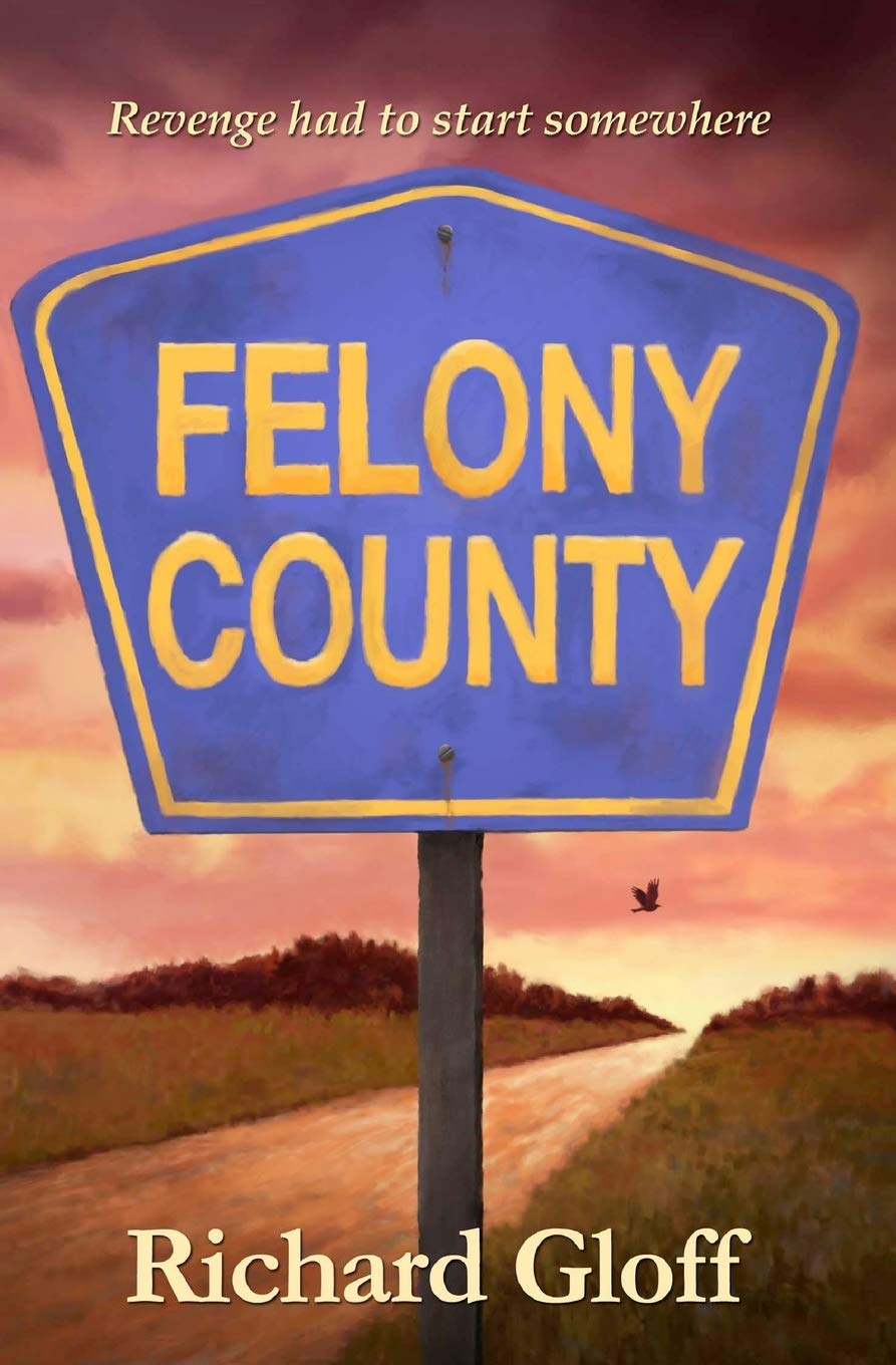 Felony County Contemporary literature Books