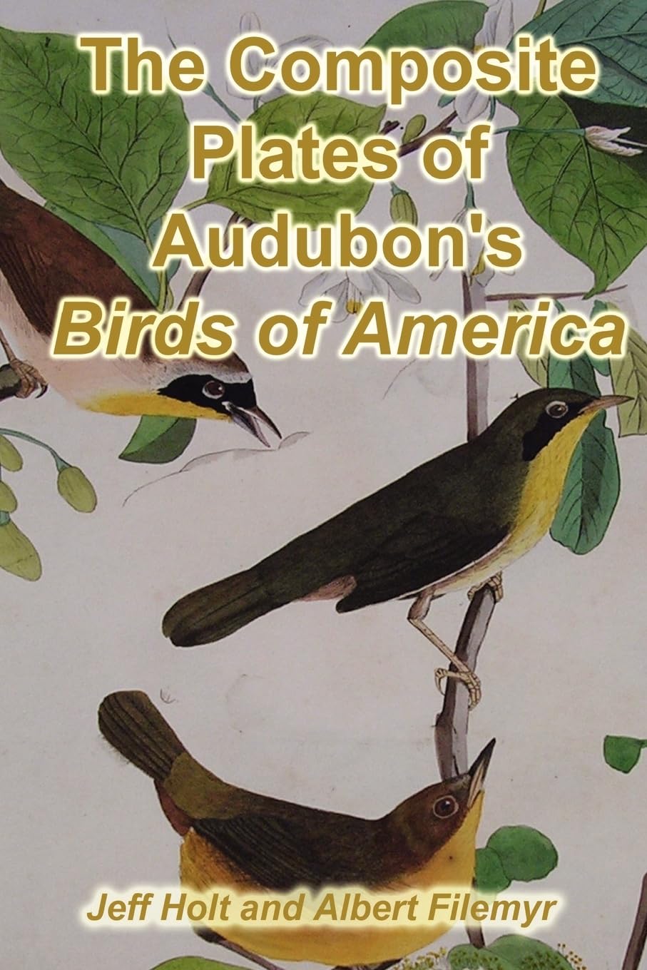 The Composite Plates of Audubon’s Birds of America Film, Art & Culture