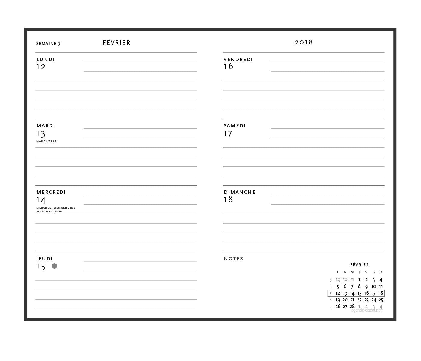 2018 Mystique (2018 Diaries) Books